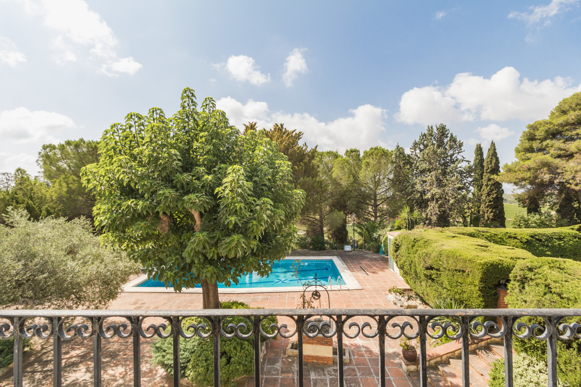  Historic Winery Estate with Vineyards in Penedes for Sale. - 物件實景