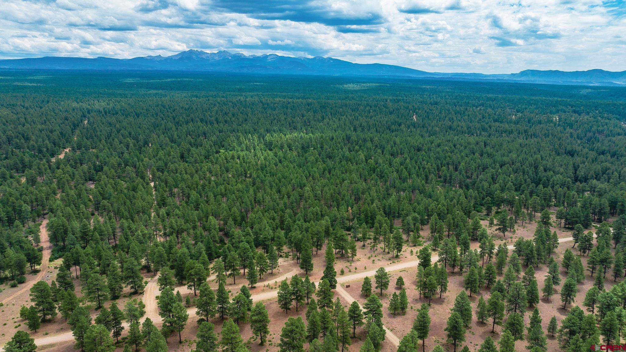 Mancos, Colorado, 81328, United States, 3 Bedrooms Bedrooms, ,4 BathroomsBathrooms,Residential,For Sale,1978860