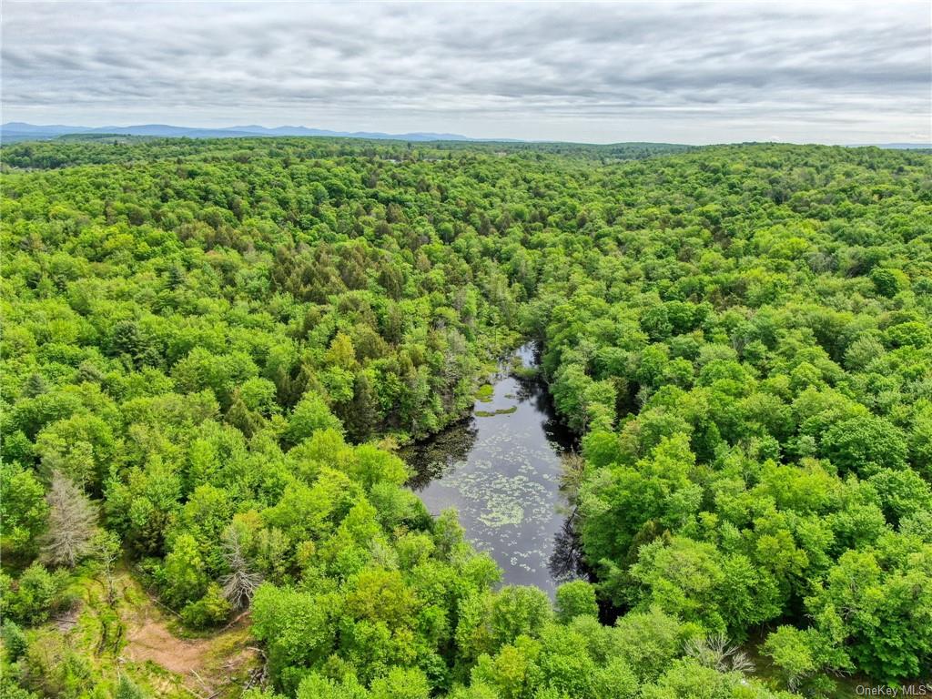 Monticello, New York, 12701, United States, ,Residential,For Sale,1980735