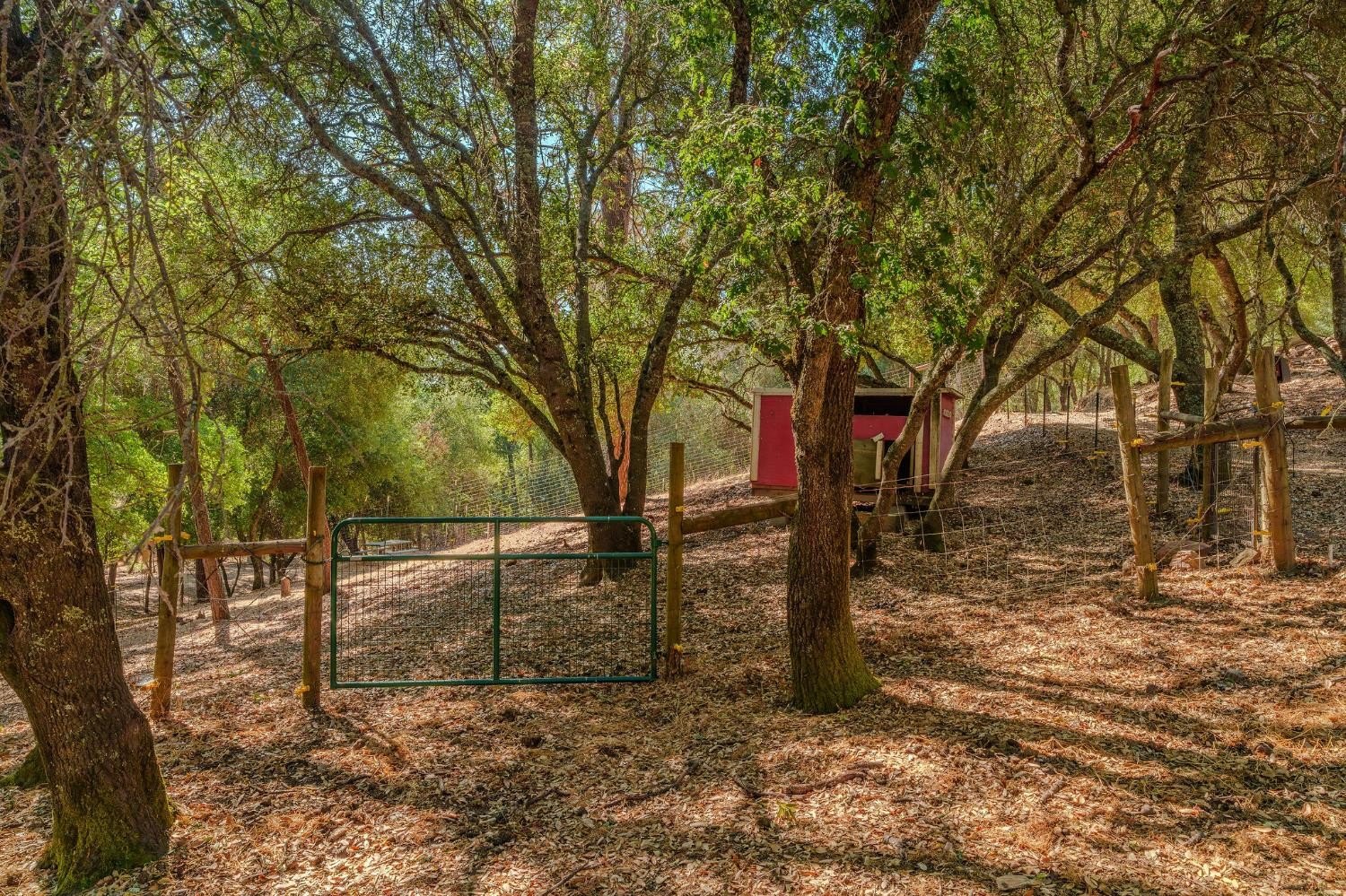 San Andreas, California, 95249, United States, 2 Bedrooms Bedrooms, ,2 BathroomsBathrooms,Residential,For Sale,1980033