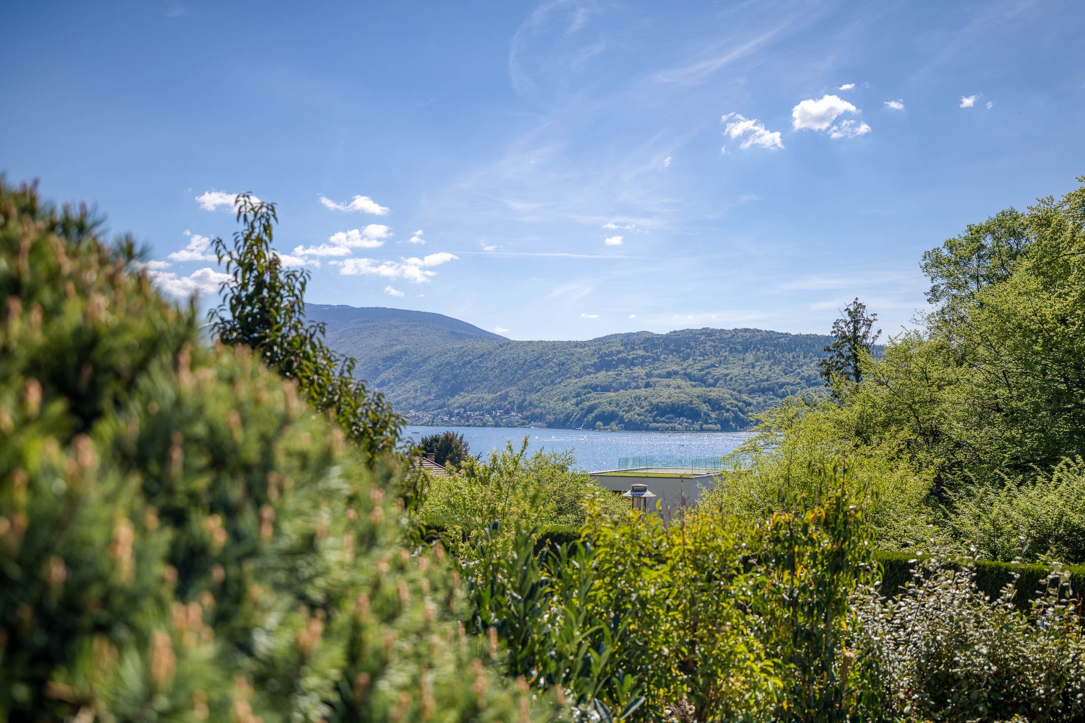  Architect-Designed Villa – Annecy-le-Vieux / Petit Port - 物件實景