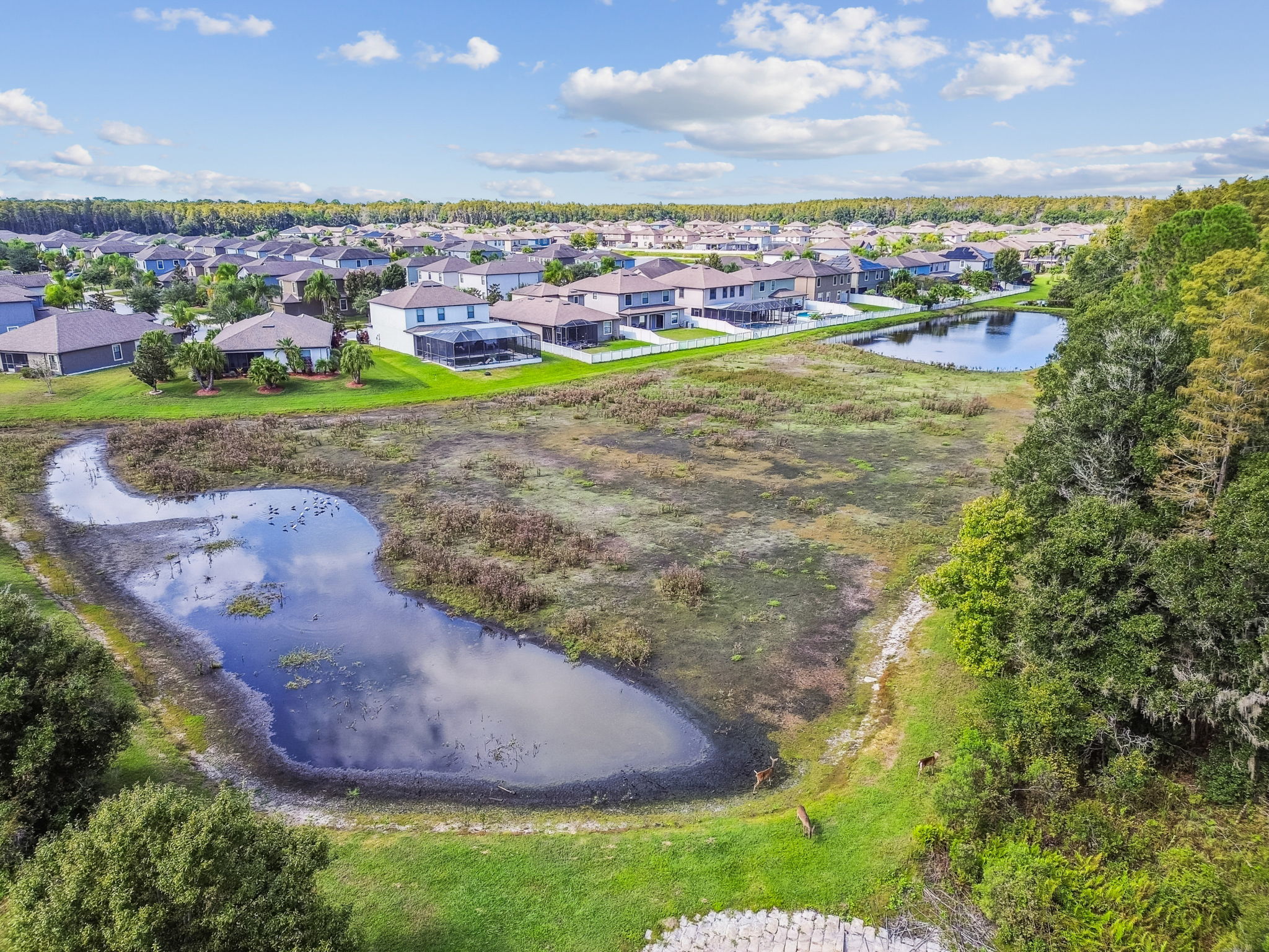 New Port Richey, Florida, 34655, United States, 6 Bedrooms Bedrooms, ,4 BathroomsBathrooms,Residential,For Sale,1980137
