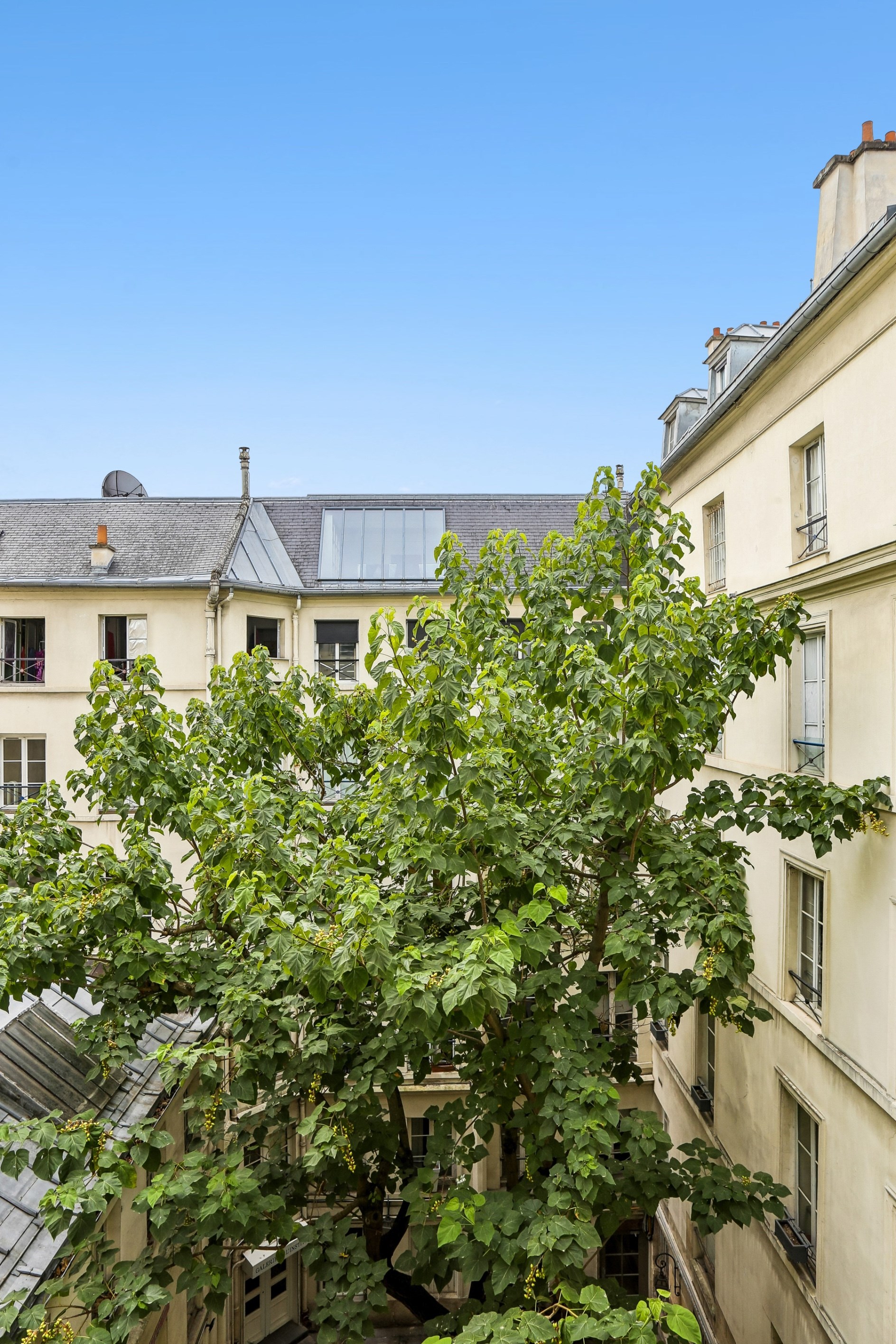  Rue des Beaux Arts - Superb renovated 2 bedrooms apartment with AC - 物件實景