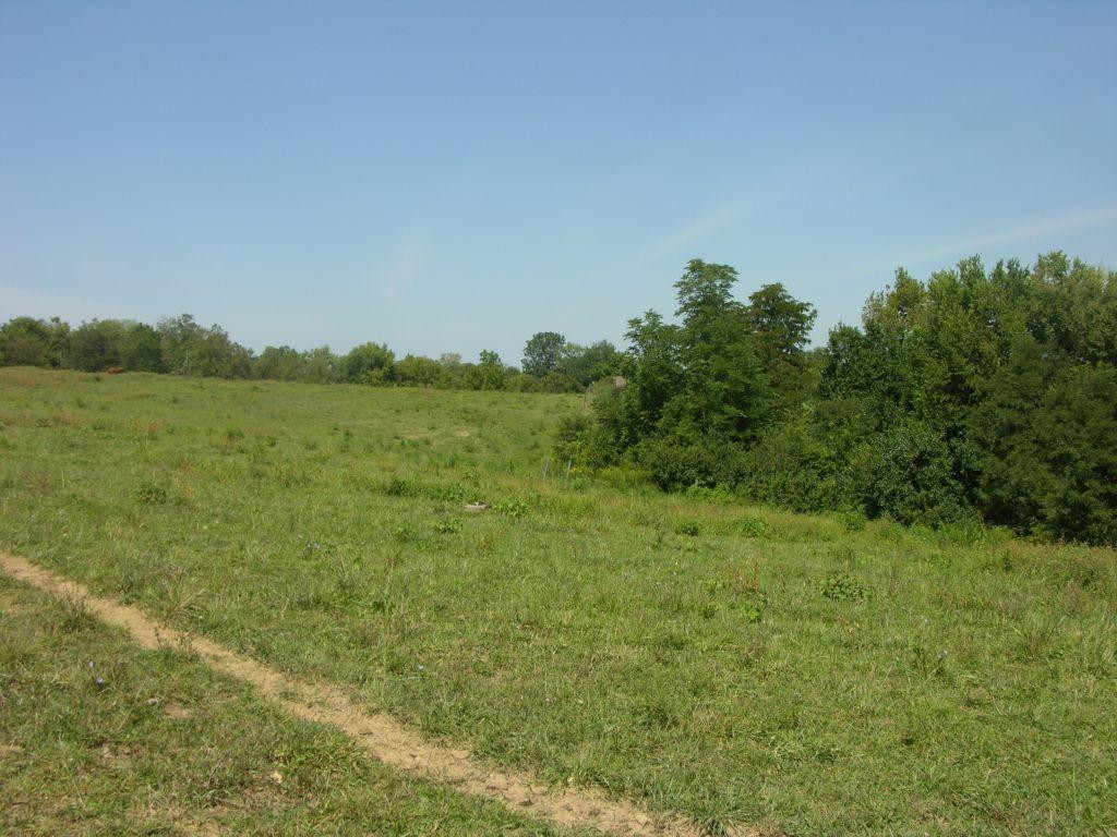 1400 Curtis Pike, Richmond, Kentucky, 40475, United States, ,Land,For Sale,1400 Curtis Pike,1616978