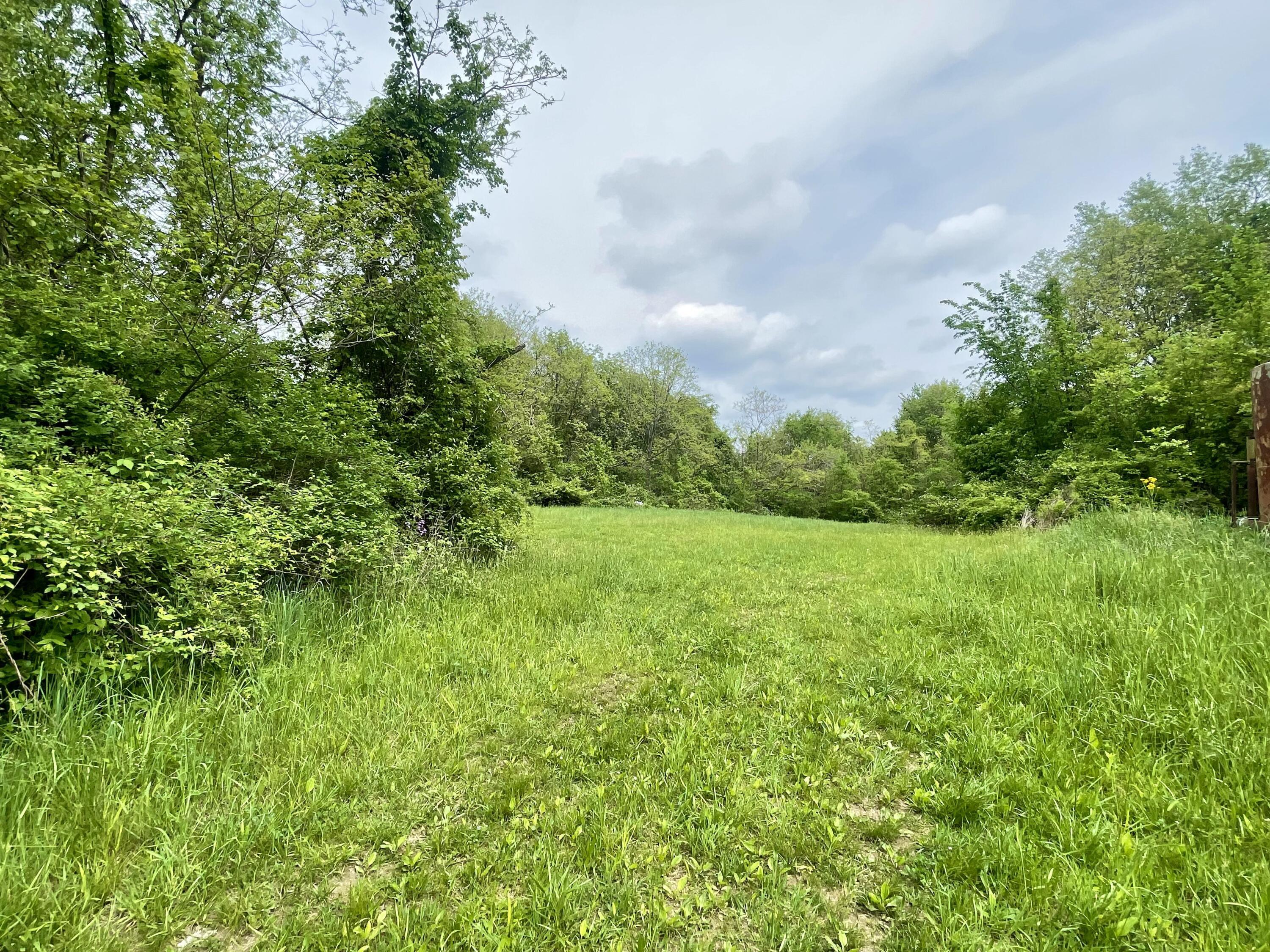 Saint Louisville, Ohio, 43071, United States, ,Land,For Sale,1981627