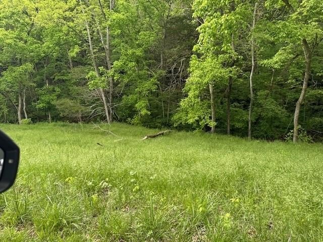 Green Forest, Arkansas, 72638, United States, 2 Bedrooms Bedrooms, ,2 BathroomsBathrooms,Residential,For Sale,1921534