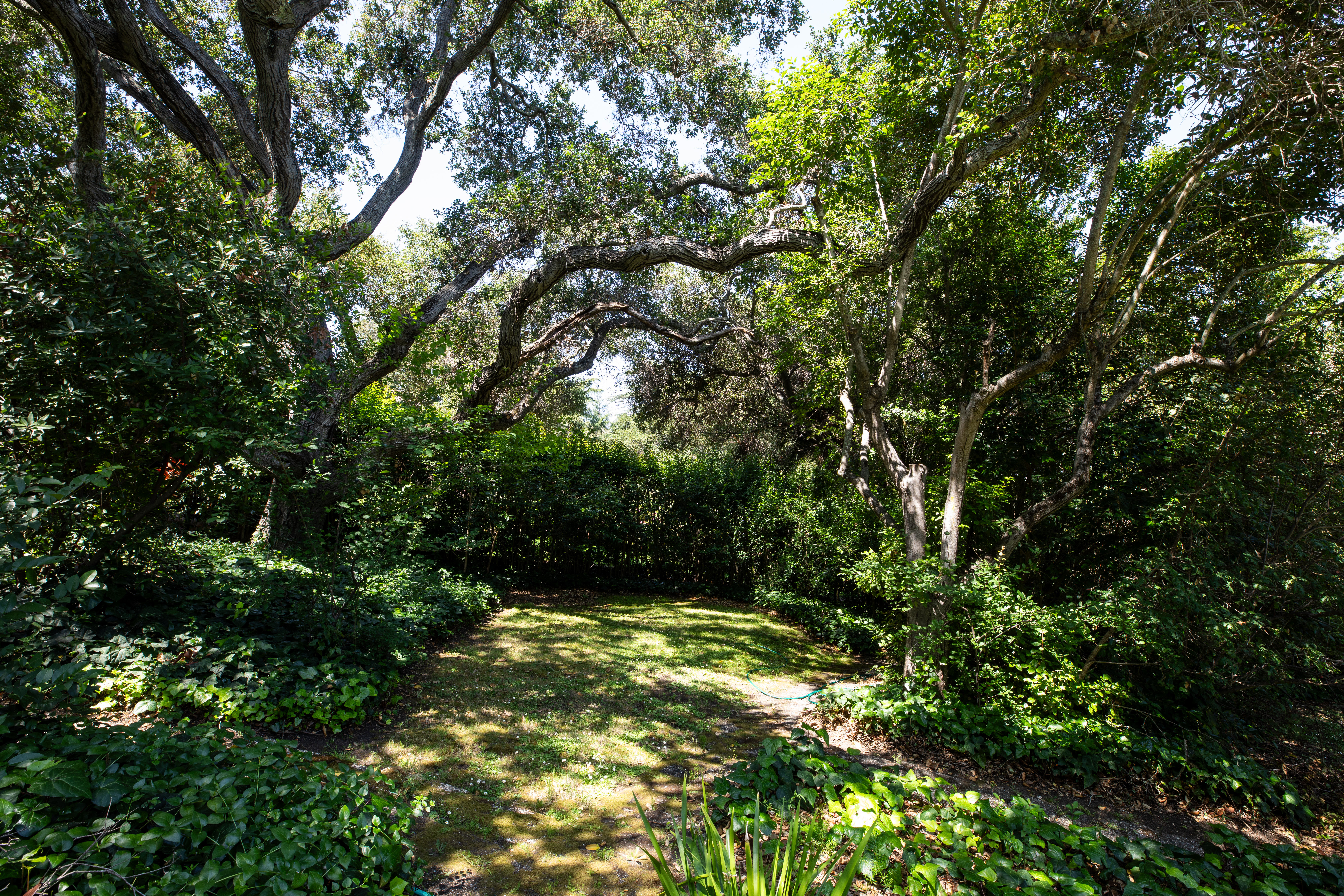  746 Santa Ynez Street, Stanford, CA 94305 - 物件實景