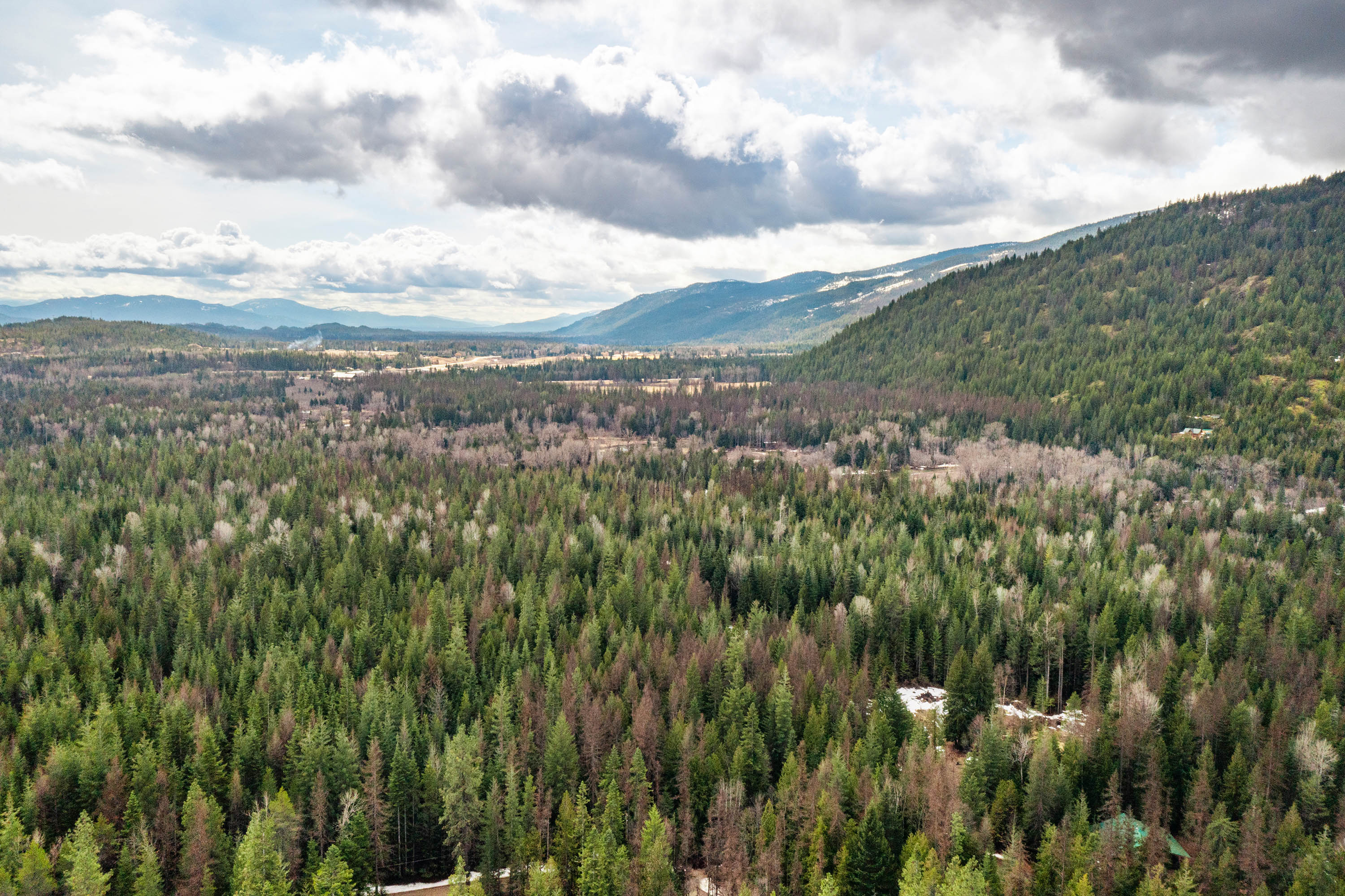 Sandpoint, Idaho, 83864, United States, ,Land,For Sale,2016068