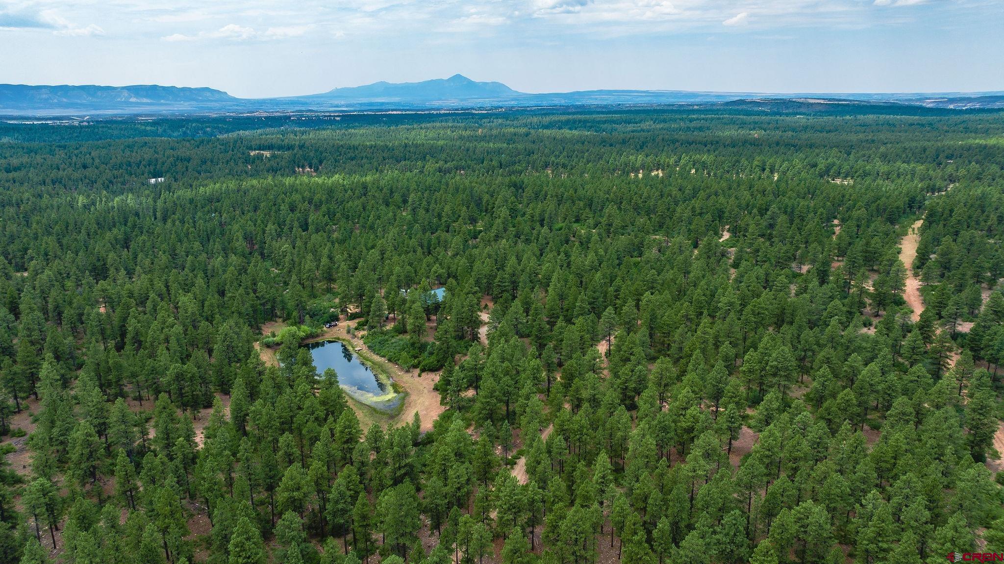 Mancos, Colorado, 81328, United States, 3 Bedrooms Bedrooms, ,4 BathroomsBathrooms,Residential,For Sale,1978860