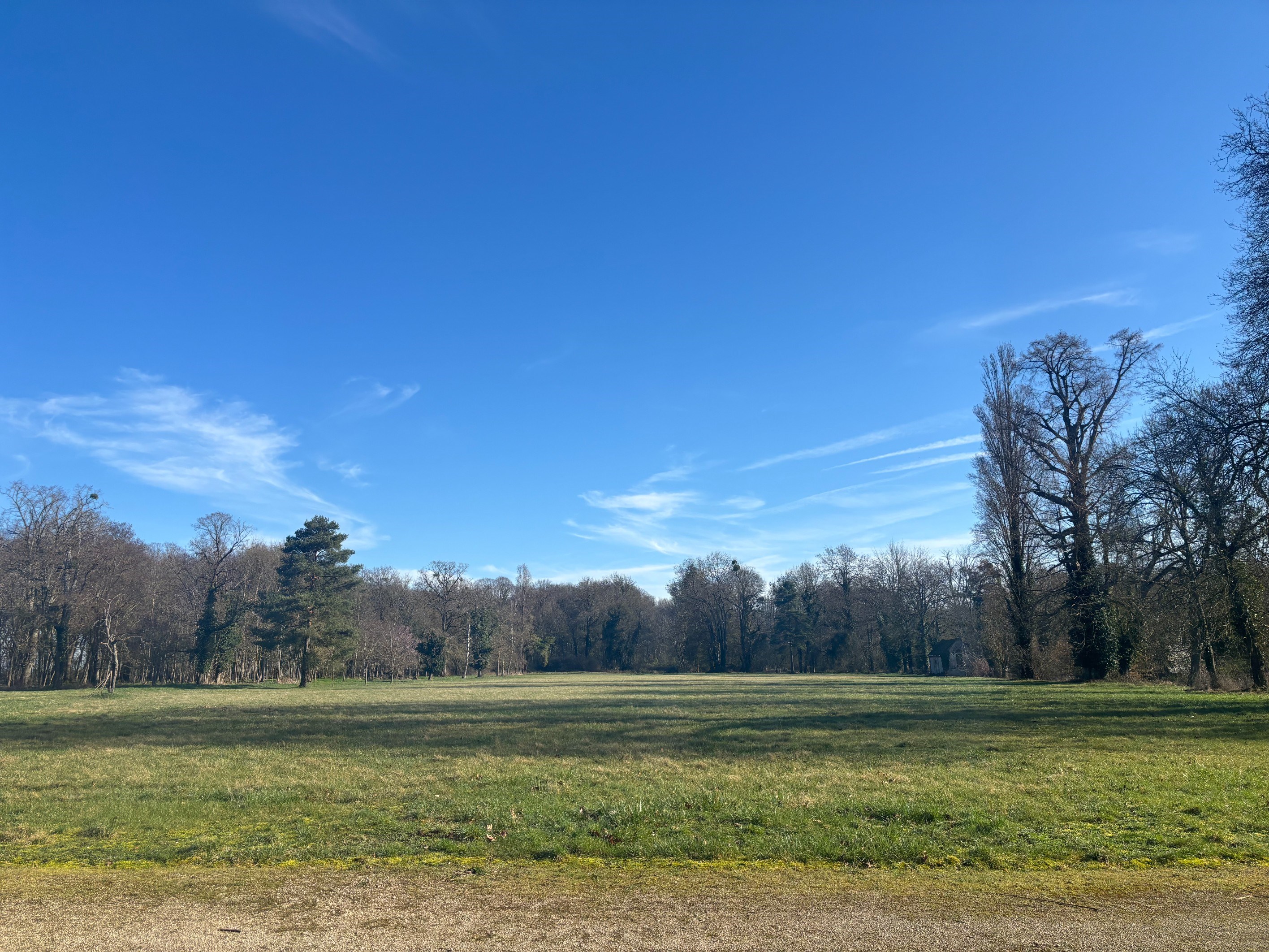  Castle - Loire Valley - 物件實景