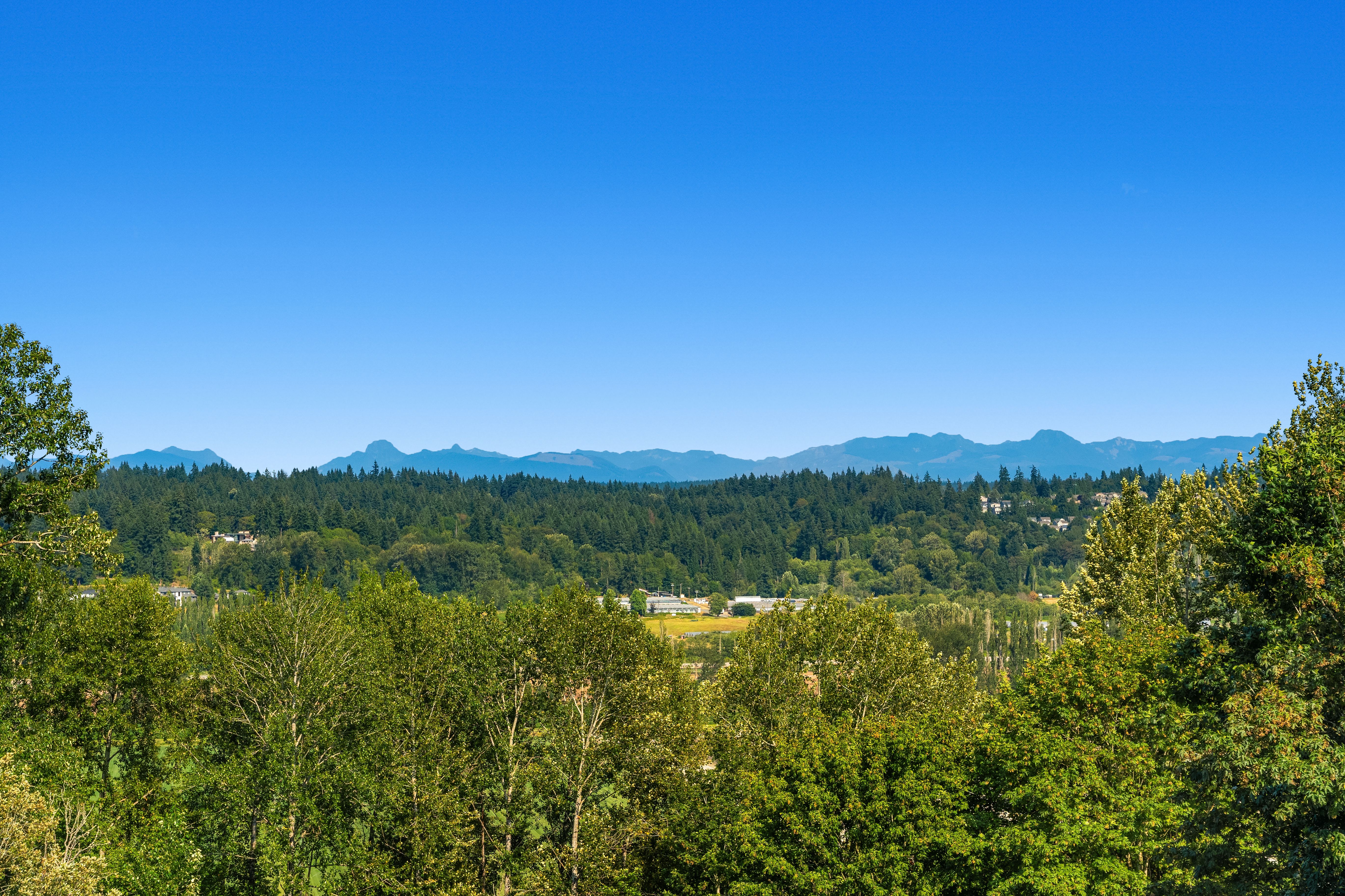  13024 137th Dr NE, Kirkland, WA 98034 - 物件實景