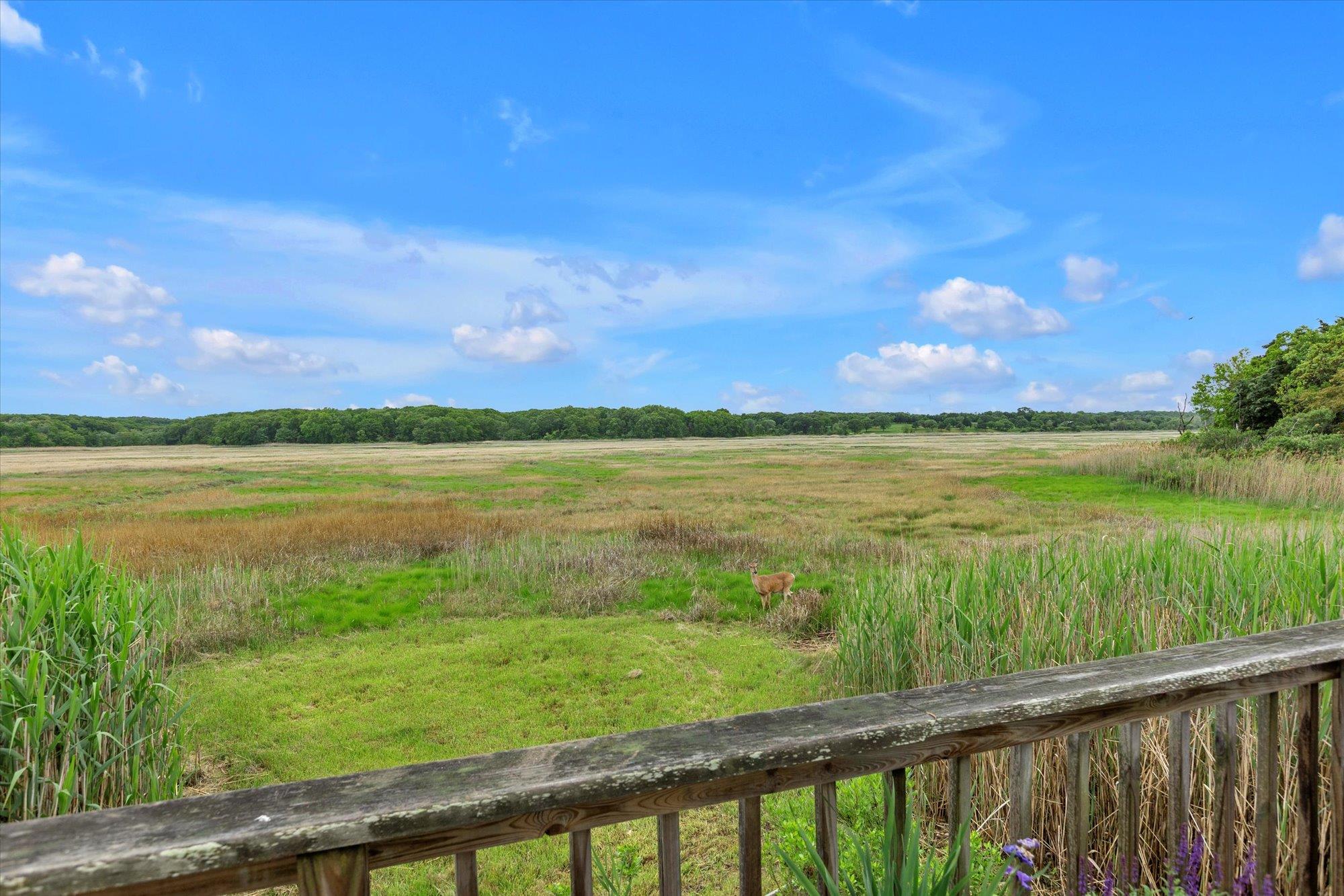 Northport, New York, 11768, United States, 2 Bedrooms Bedrooms, ,1 BathroomBathrooms,Residential,For Sale,1828550