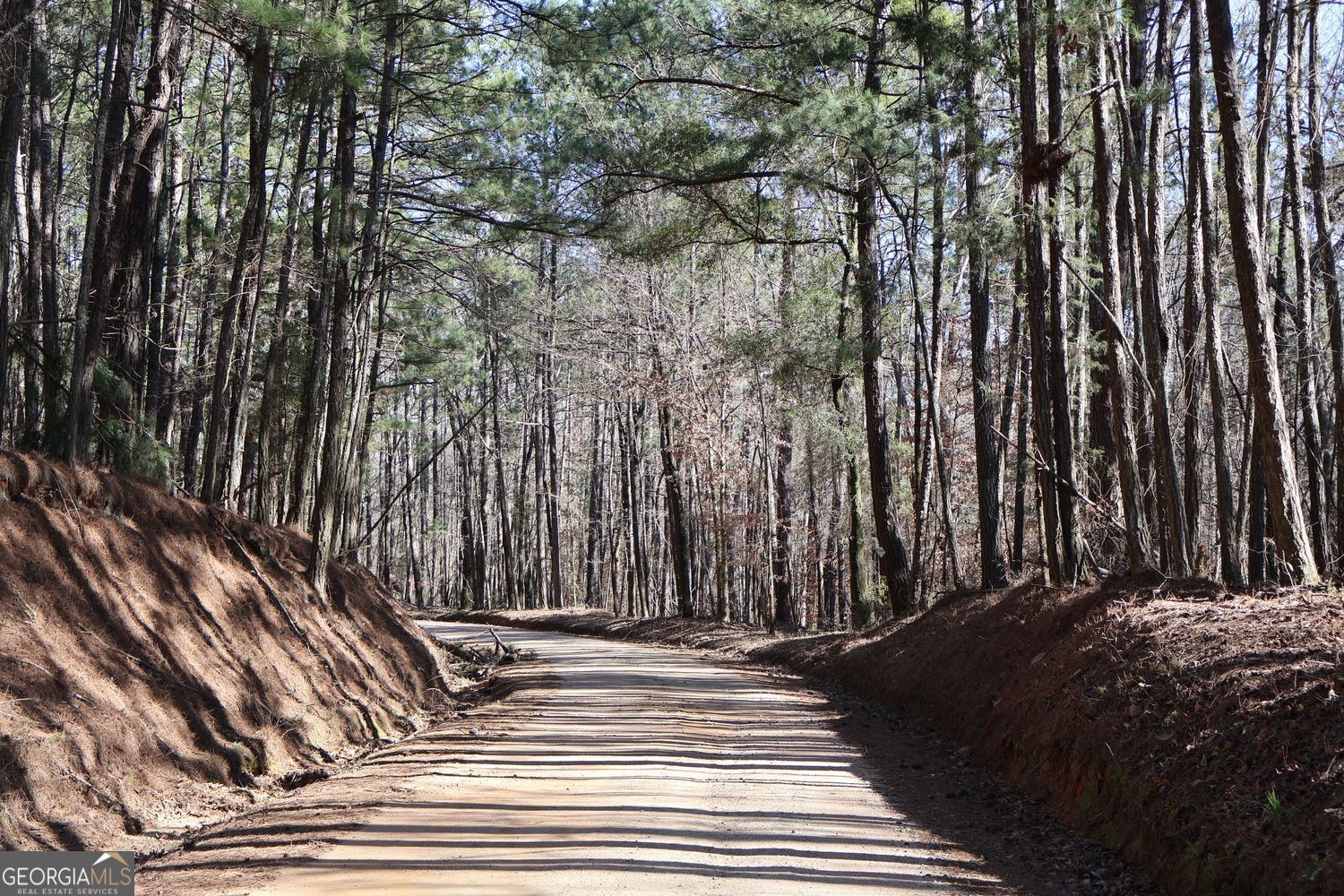 Forsyth, Georgia, 31029, United States, ,Land,For Sale,1907989