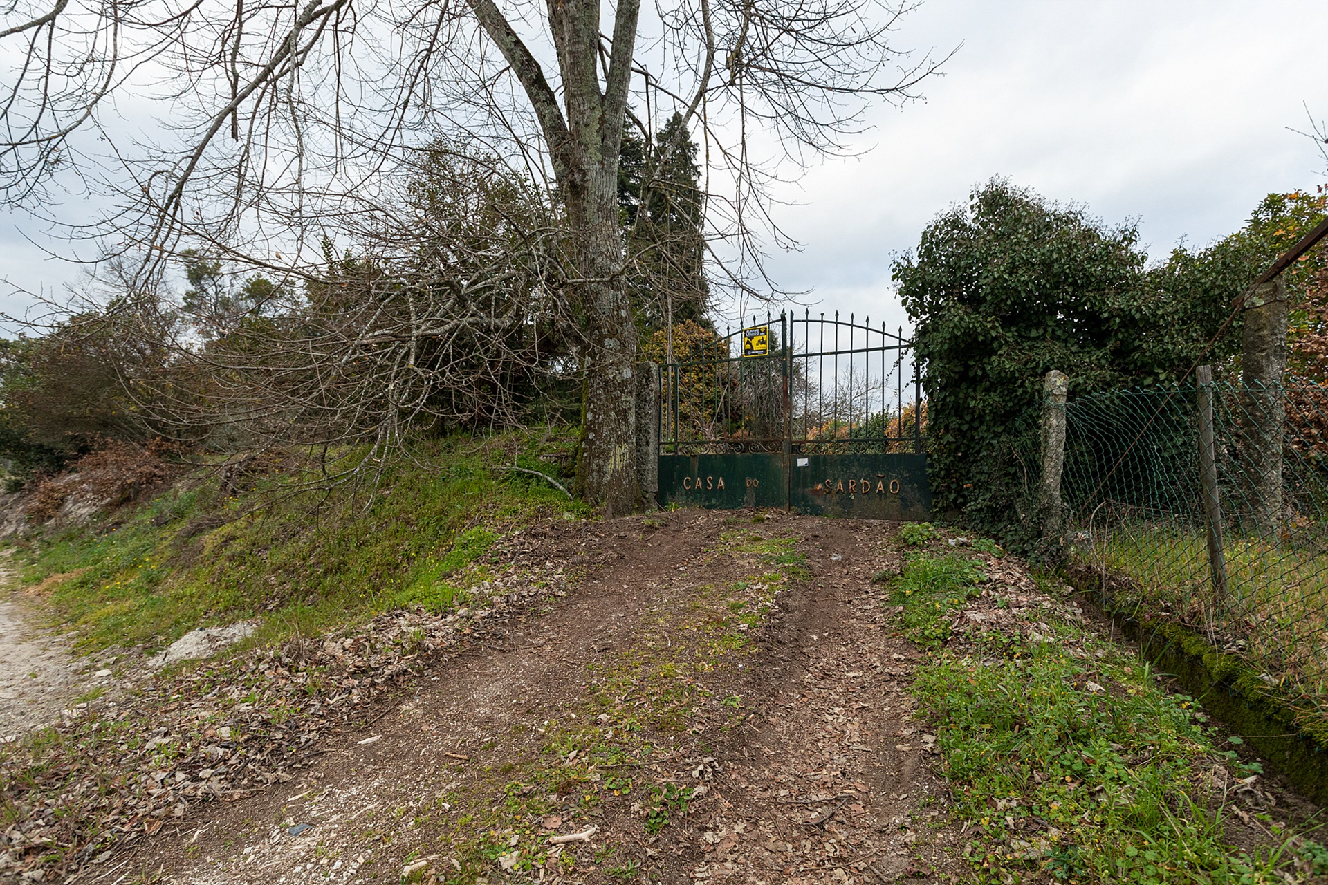  Small Farm, 4 bedrooms, for Sale - 物件實景