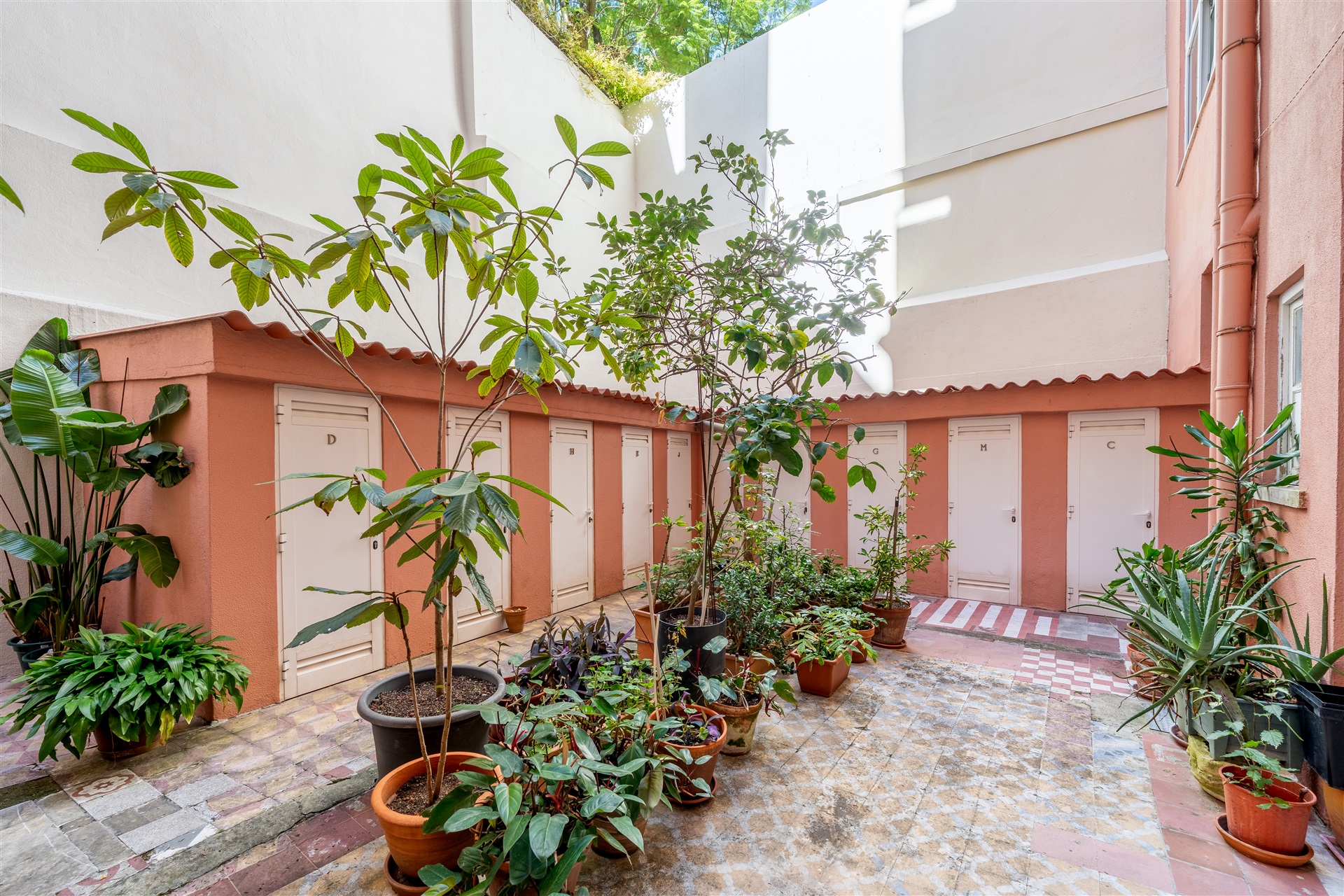  Flat, 4 bedrooms, for Sale - 物件實景