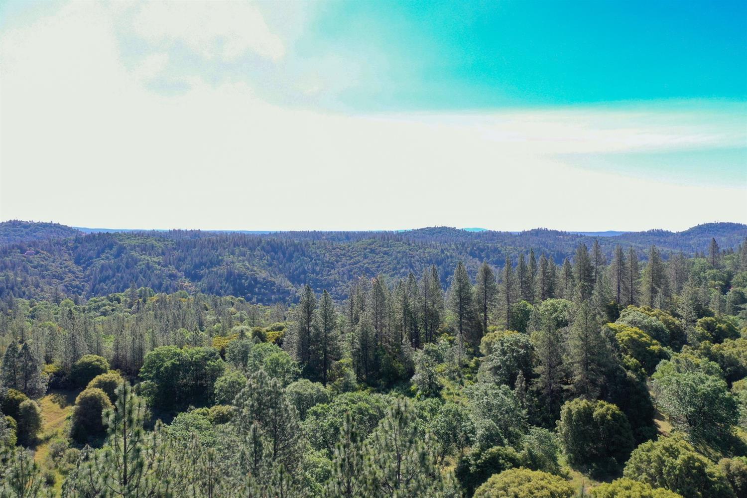 Grass Valley, California, 95949, United States, 3 Bedrooms Bedrooms, ,3 BathroomsBathrooms,Residential,For Sale,1842602