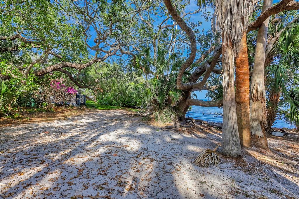 Tampa, Florida, 33611, United States, 5 Bedrooms Bedrooms, ,7 BathroomsBathrooms,Residential,For Sale,1988340