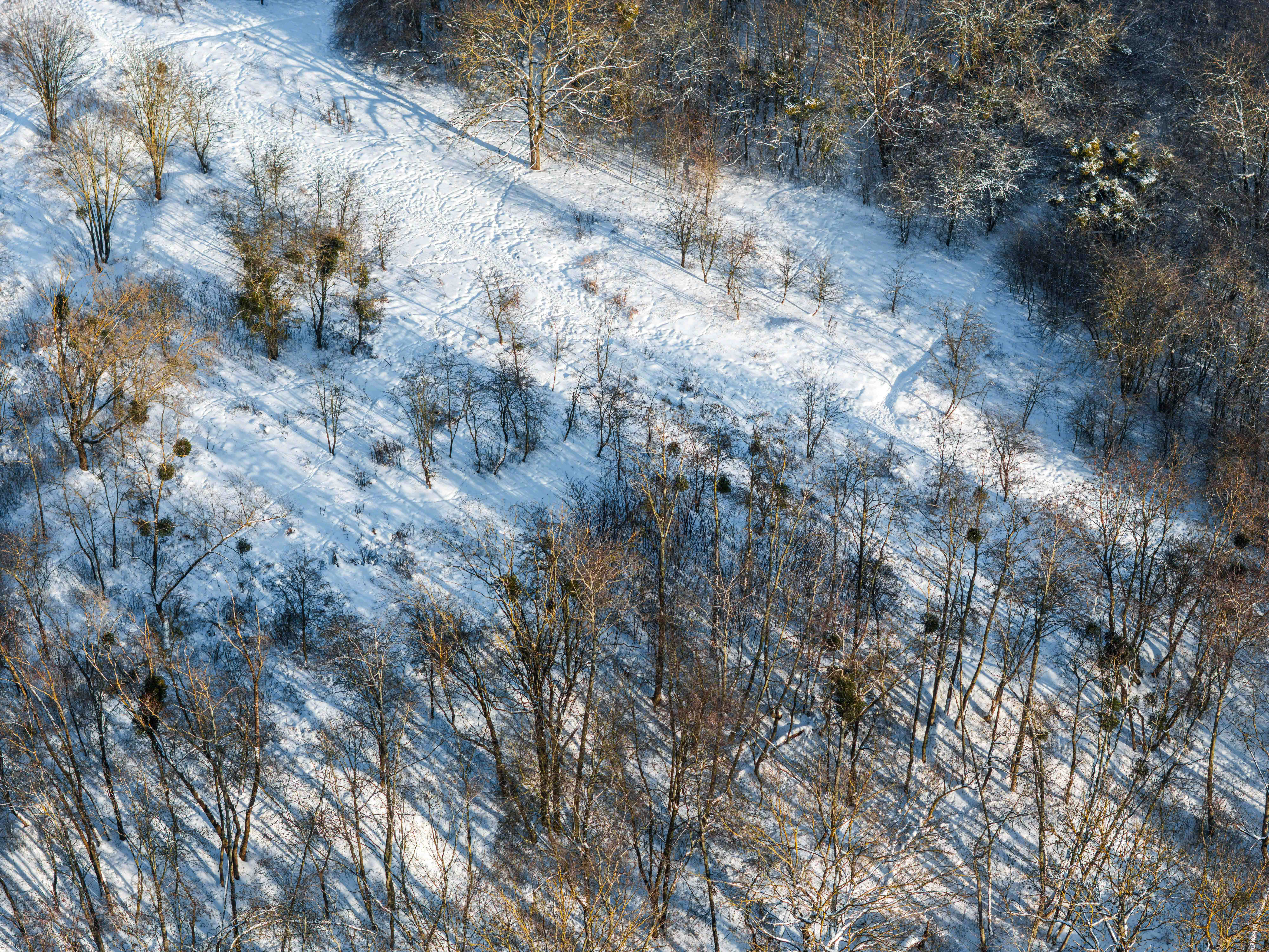  Corner plot in Freda with house project and building permission - 物件實景