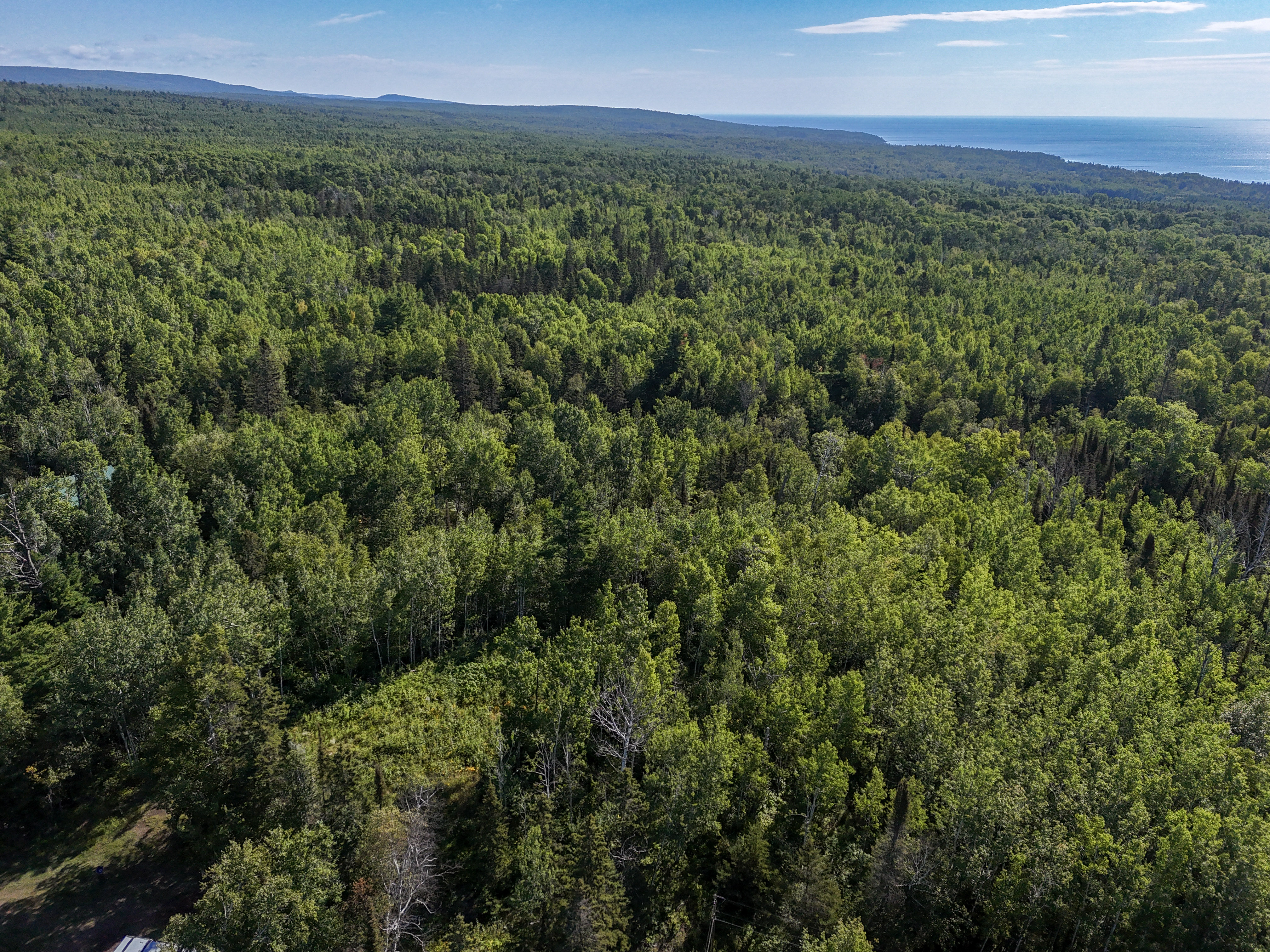  A Rare North Shore Homesite Near Grand Marais - 物件實景