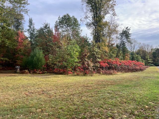 Branch, Michigan, 49402, United States, 5 Bedrooms Bedrooms, ,4 BathroomsBathrooms,Residential,For Sale,1986273