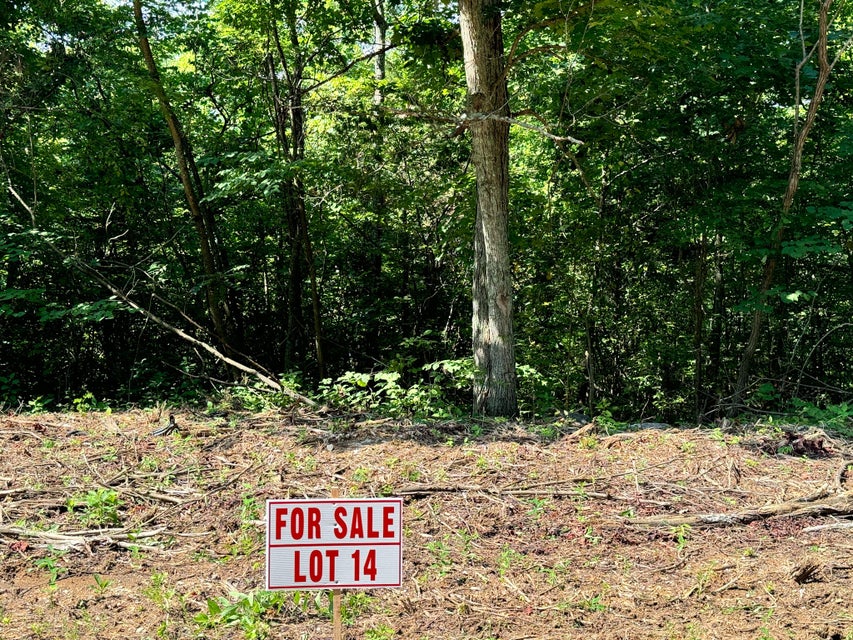 Somerset, Kentucky, 42501, United States, ,Residential,For Sale,1923151