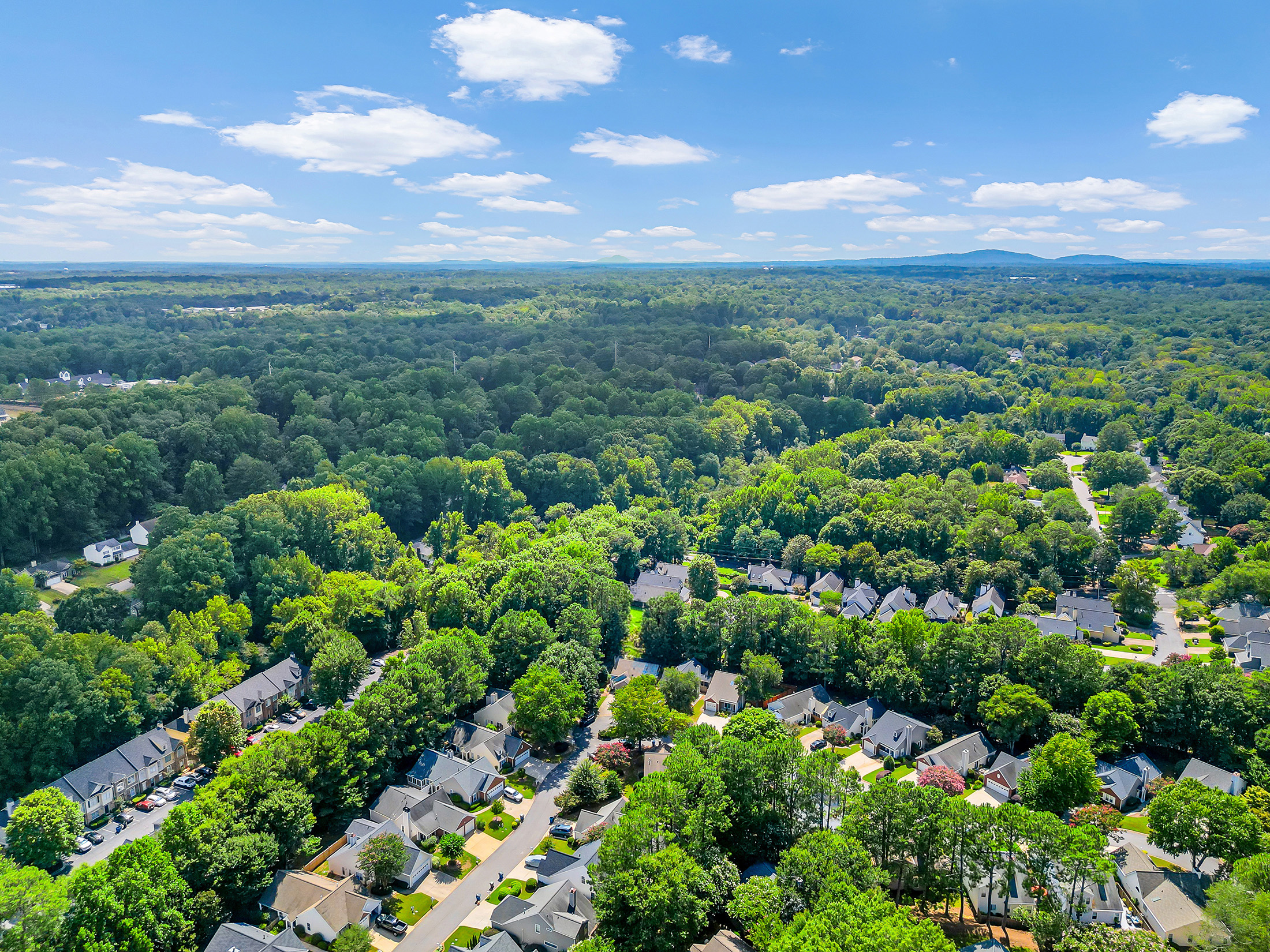 Effortless Living in Charming Alpharetta Home - 物件實景