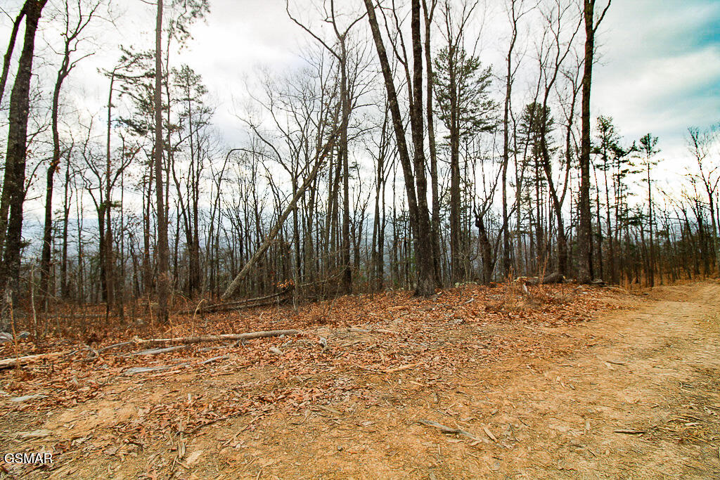 Sevierville, Tennessee, 37876, United States, ,Land,For Sale,2008093