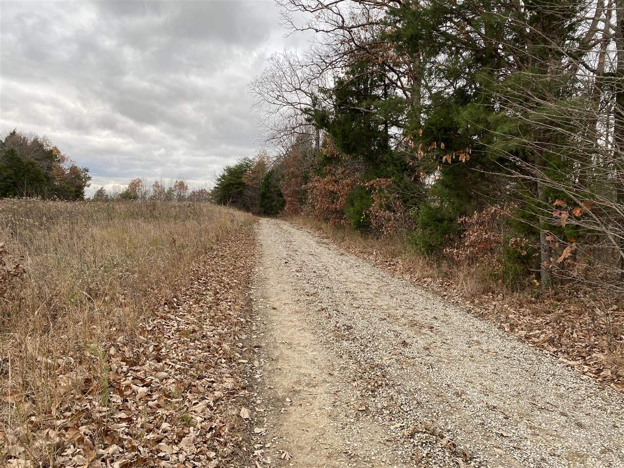 Clarkson, Kentucky, 42726, United States, ,Land,For Sale,1828562