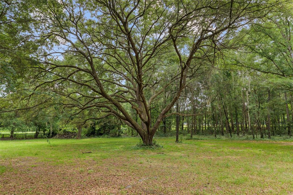 Newberry, Florida, 32669, United States, 3 Bedrooms Bedrooms, ,2 BathroomsBathrooms,Residential,For Sale,1847426