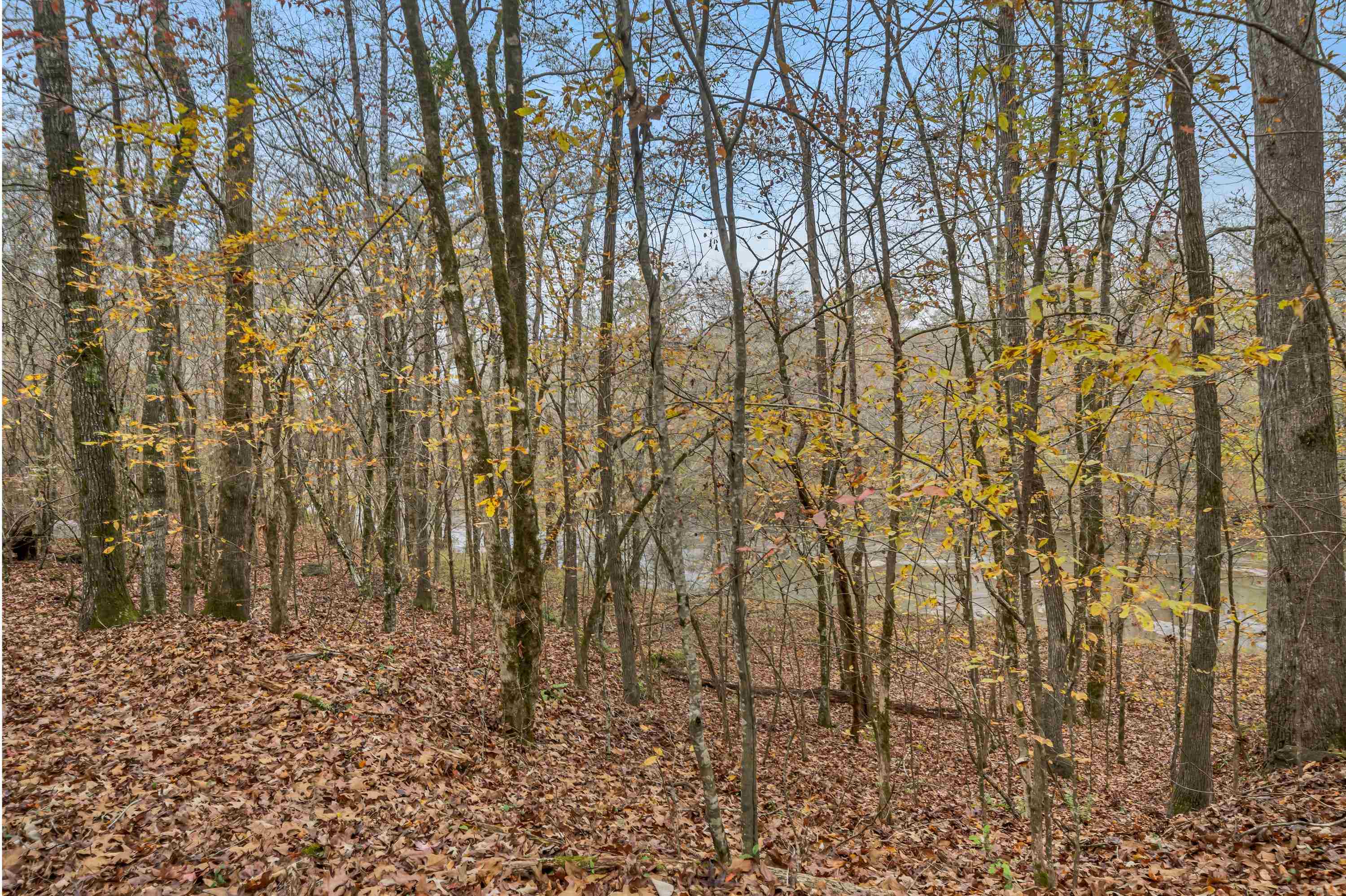 6.04 ac LINCHBURG ROAD, Eatonton, Georgia, 31024, United States, ,Land,For Sale,6.04 ac LINCHBURG ROAD,1683255