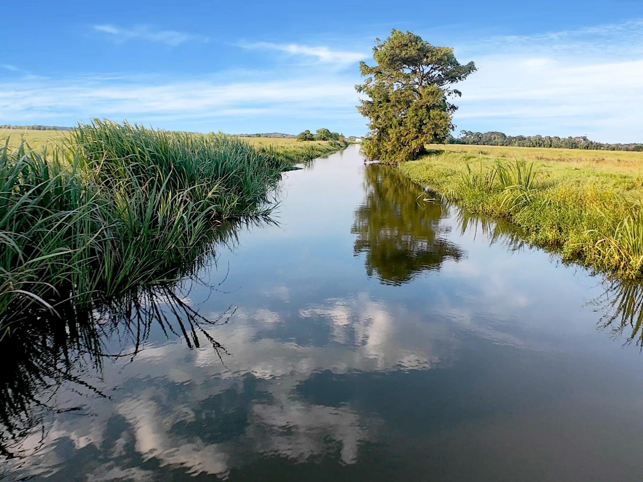 Anahuac, Texas, 77514, United States, ,Land,For Sale,1947447