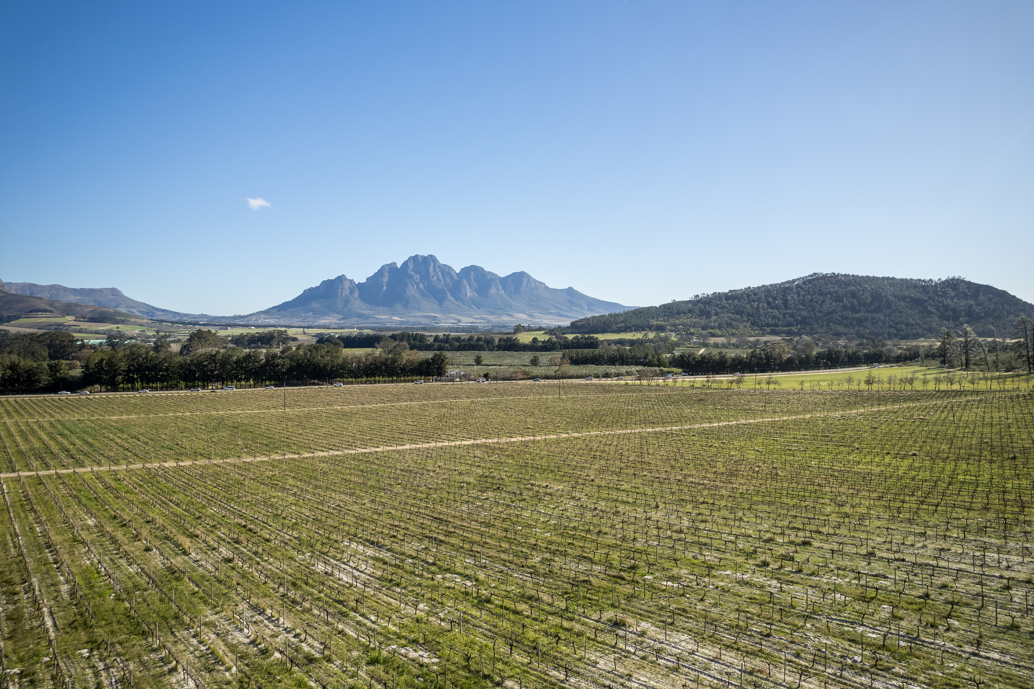  An Exceptional Boutique Wine Estate in the Heart of the Cape Winelands - 物件實景