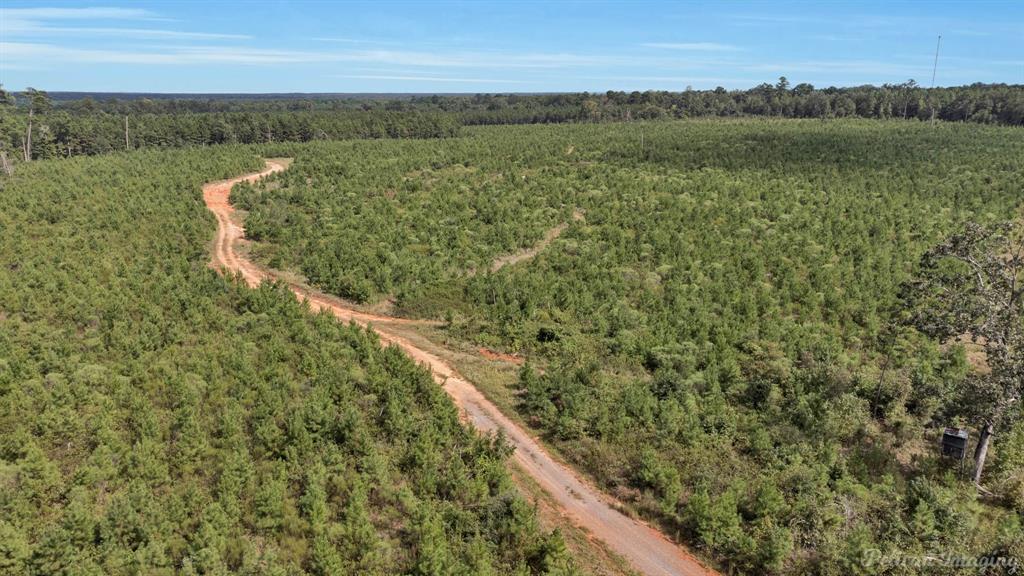 0 Highway 157 Highway, Haughton, Louisiana, 71037, United States, ,Land,For Sale,0 Highway 157 Highway,1646378