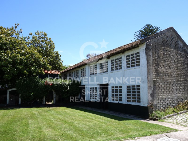 A Coru?a, Oleiros, Dexo-Lorb?, Lorb? A Coru?a, Ole, Oleiros, Galicia, ES, 5 Bedrooms Bedrooms, ,3 BathroomsBathrooms,Residential,For Sale,A Coru?a, Oleiros, Dexo-Lorb?, Lorb? A Coru?a, Ole,1449015