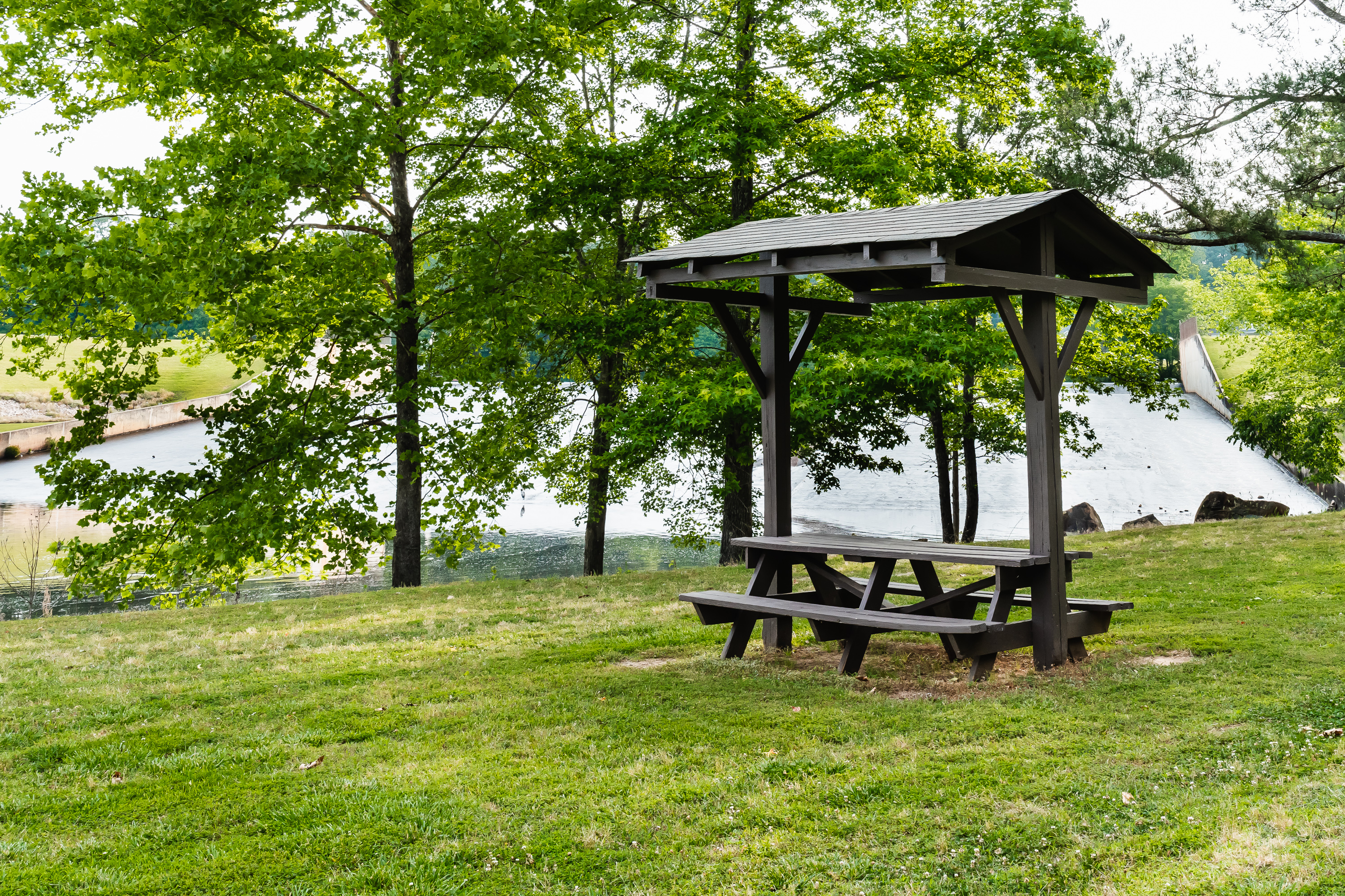 Louisburg, North Carolina, 27549, United States, 3 Bedrooms Bedrooms, ,3 BathroomsBathrooms,Residential,For Sale,2038392