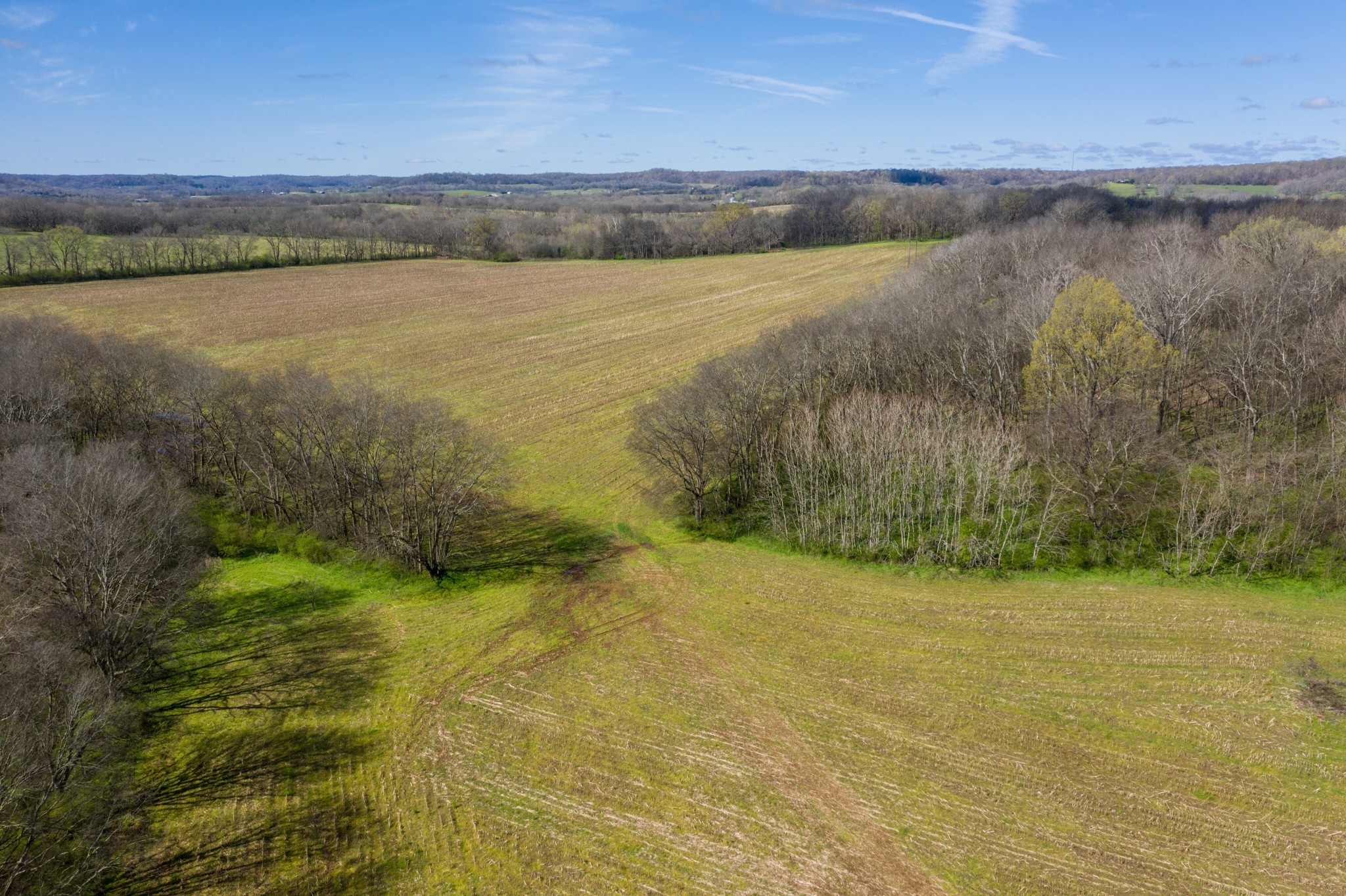  0 South Cross Bridges Road, Mount Pleasant, TN, 38474 - 物件實景