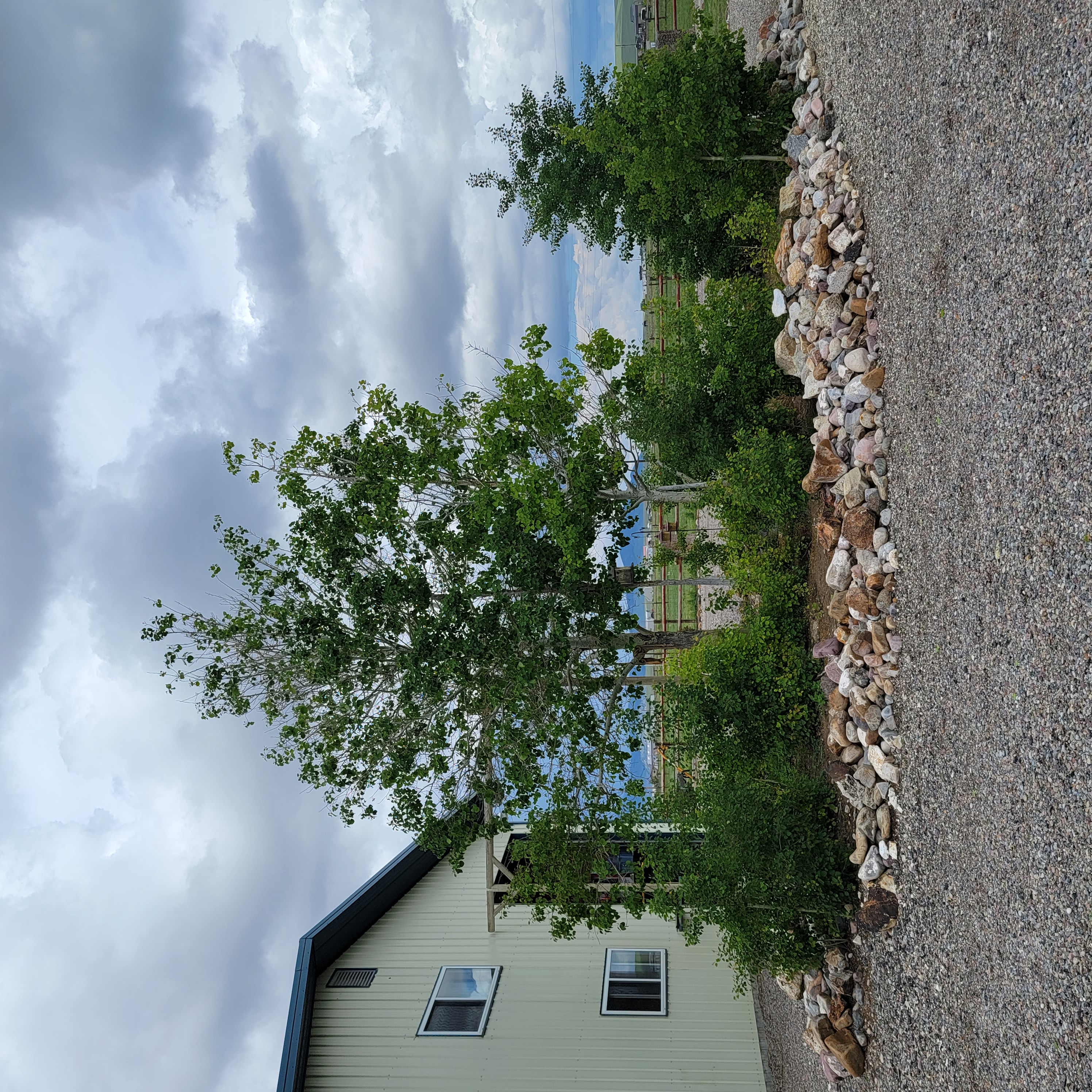 Dillon, Montana, 59725, United States, 3 Bedrooms Bedrooms, ,2 BathroomsBathrooms,Residential,For Sale,1944810
