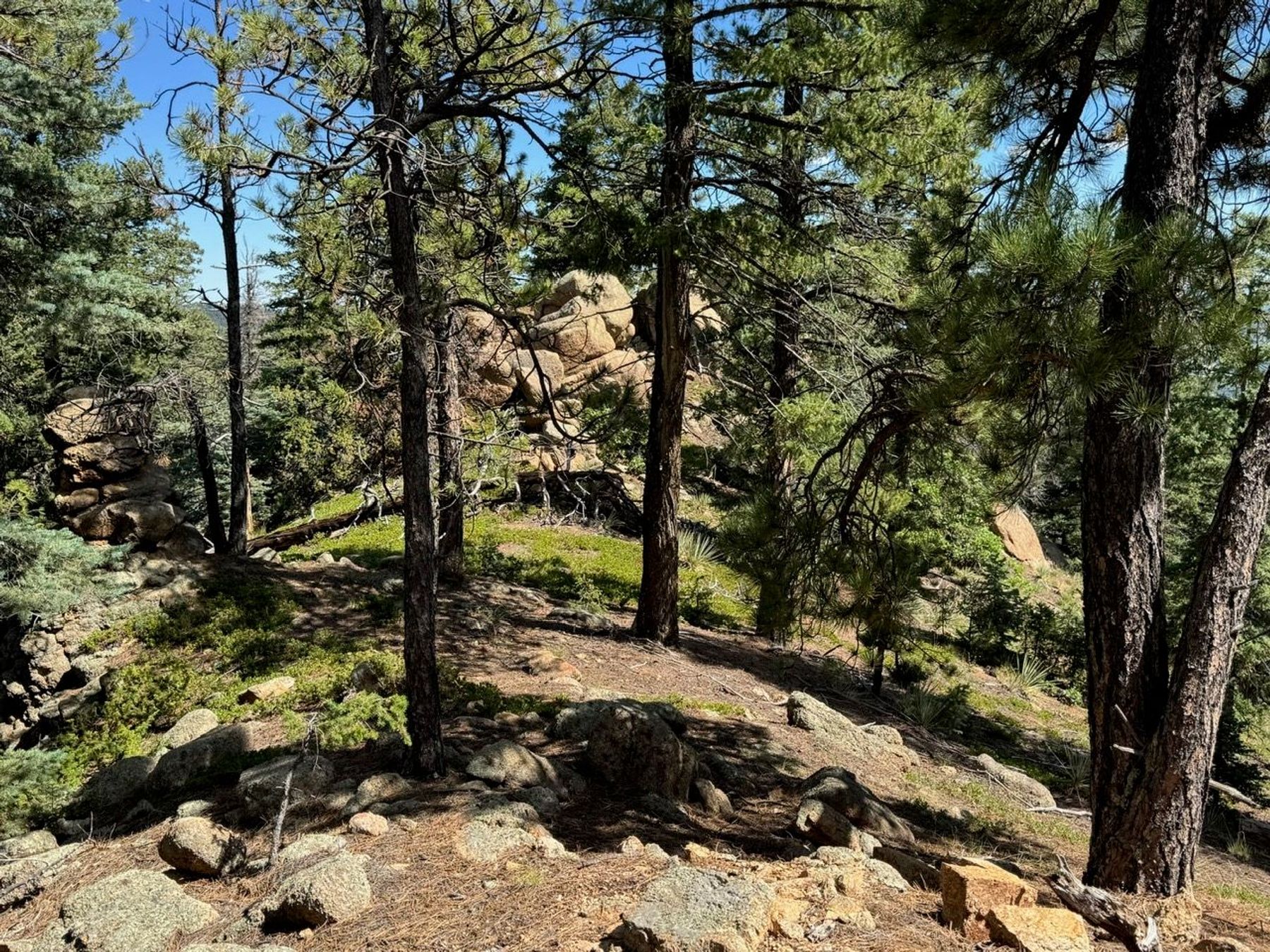  MOUNTAIN SANCTUARY HIGH ABOVE THE BROADMOOR - 物件實景