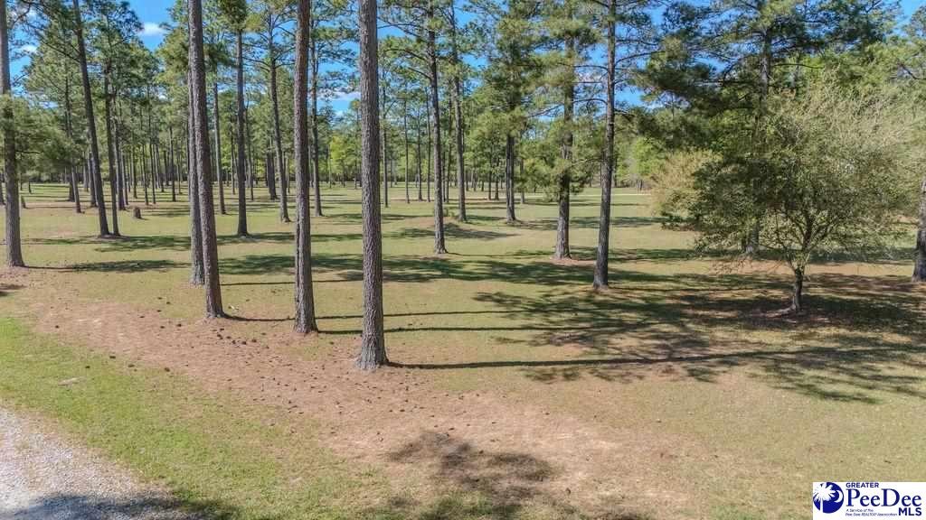 1315 Hill Harrell Road, Effingham, South Carolina, 29541-3179, United States, ,Land,For Sale,1315 Hill Harrell Road,1501598