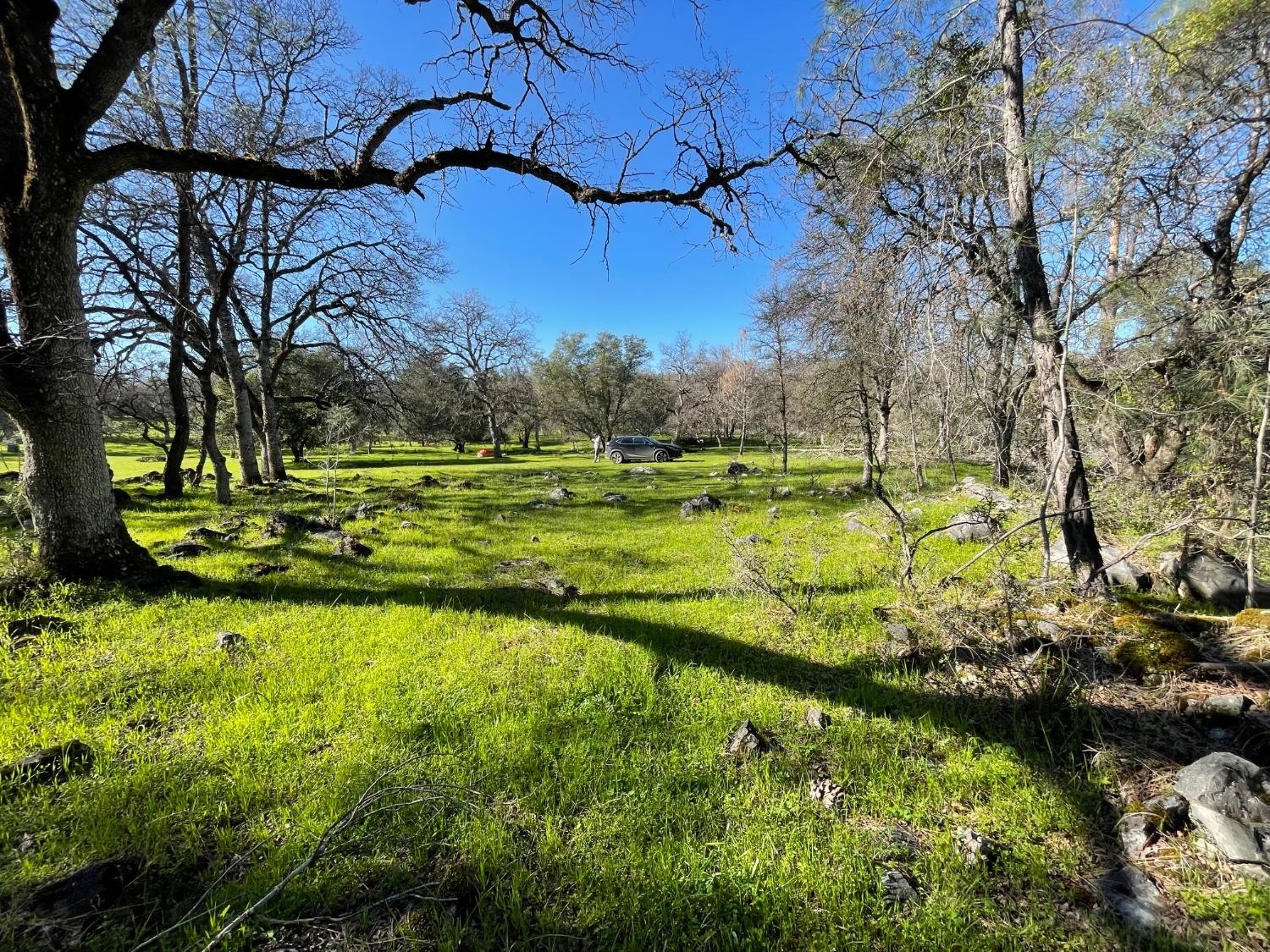 Vallecito, California, 95251, United States, ,Land,For Sale,1980651