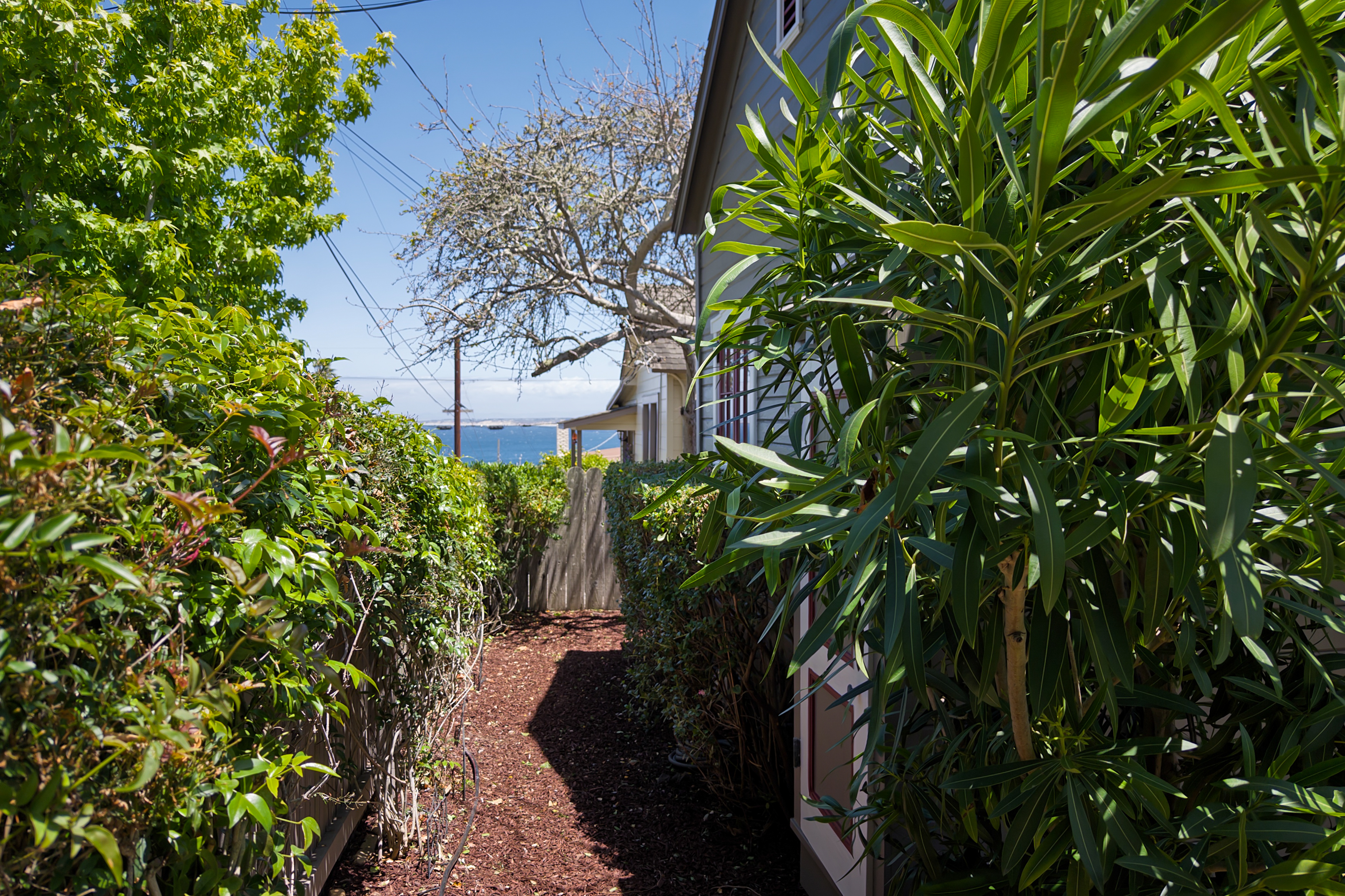 515 Dickman Avenue, Monterey - 物件實景