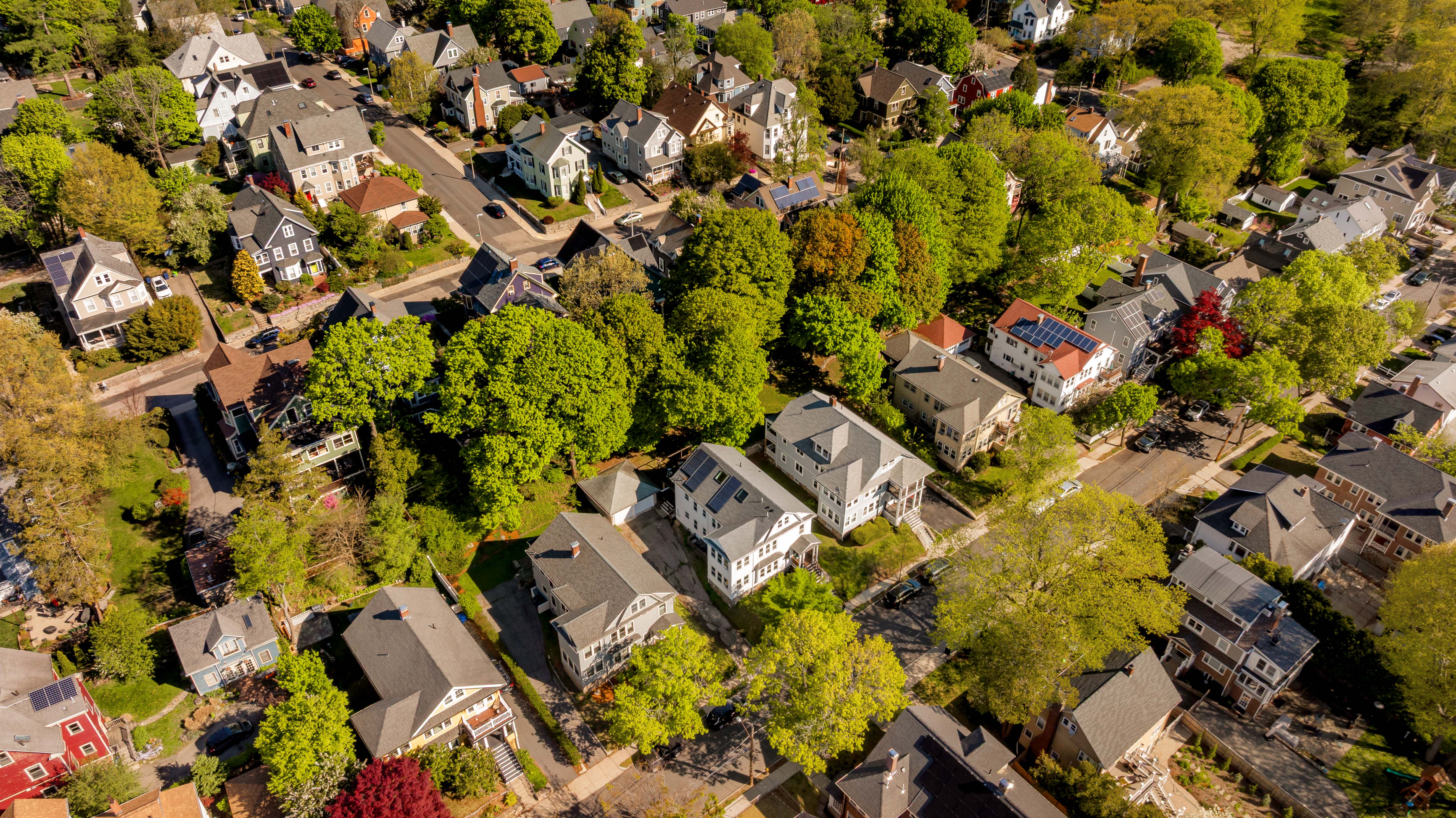  16 Arborough Road, Boston, MA, 02131 - 物件實景