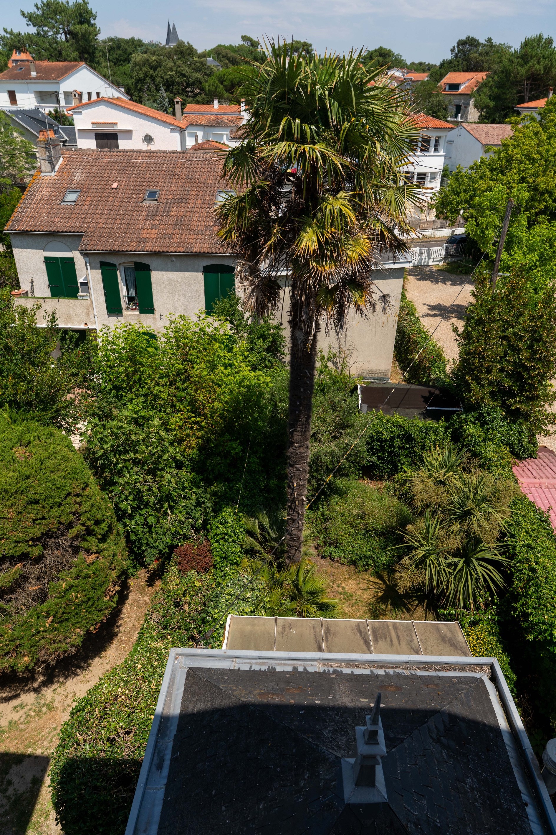  Elegant Belle Époque Villa Facing the Ocean - 物件實景