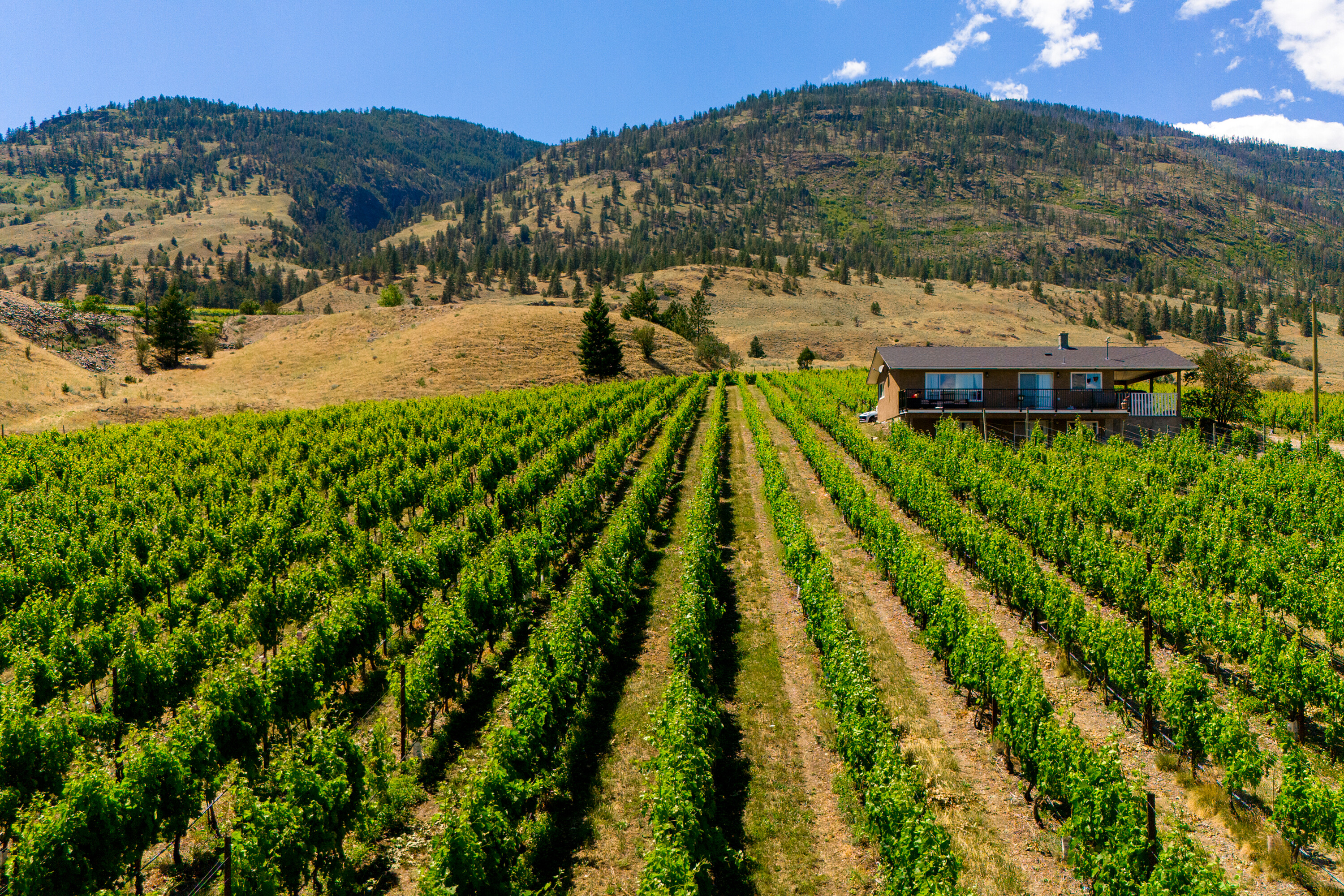  Lakefront Winery Receivership - 物件實景