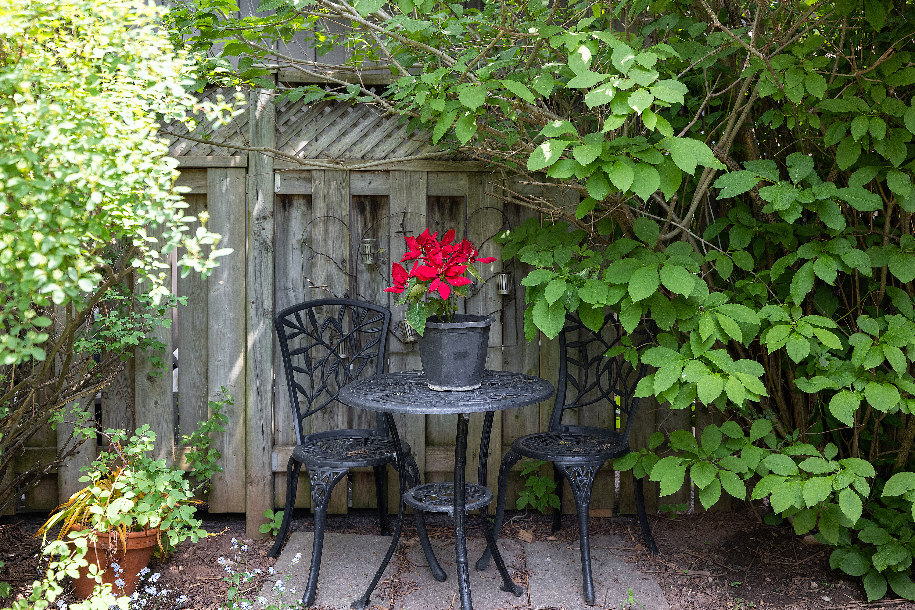  Charming Bunalow in Georgetown - 物件實景