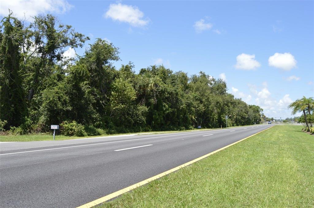 Edgewater, Florida, 32141, United States, ,Land,For Sale,1723256
