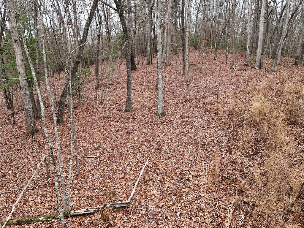 Blue Ridge, Georgia, 30513, United States, ,Land,For Sale,1859049