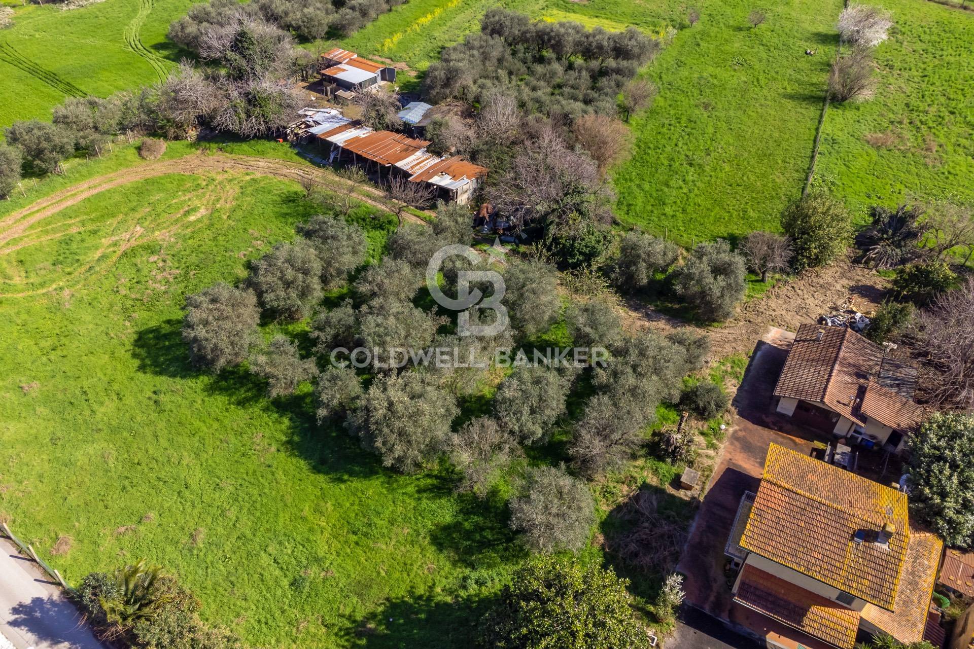 Via Pisanica, Pietrasanta, Lucca, 55045, IT, 4 Bedrooms Bedrooms, ,4 BathroomsBathrooms,Residential,For Sale,Via Pisanica,1627821