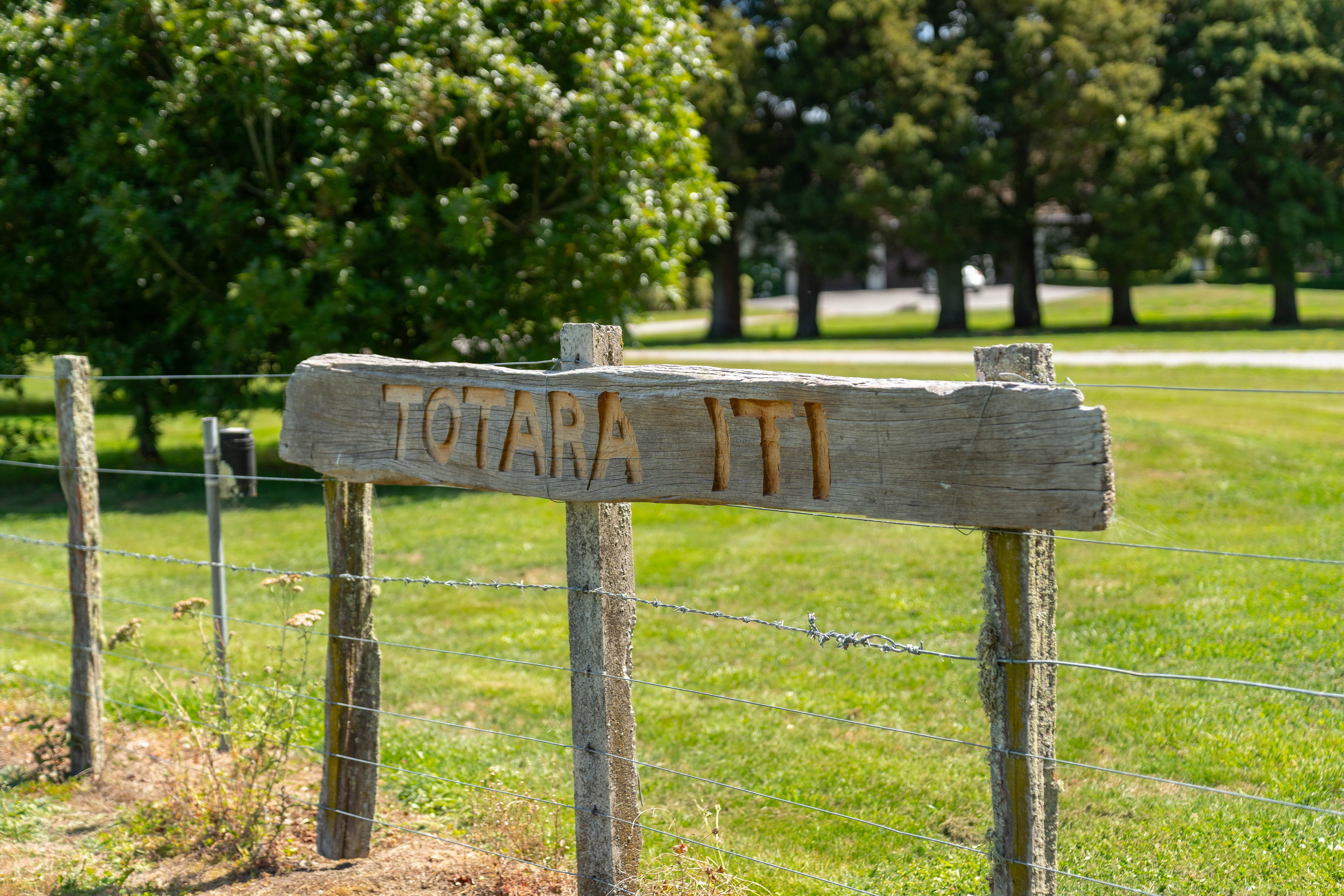  Totara Iti - Premium Lifestyle Awaits - 物件實景