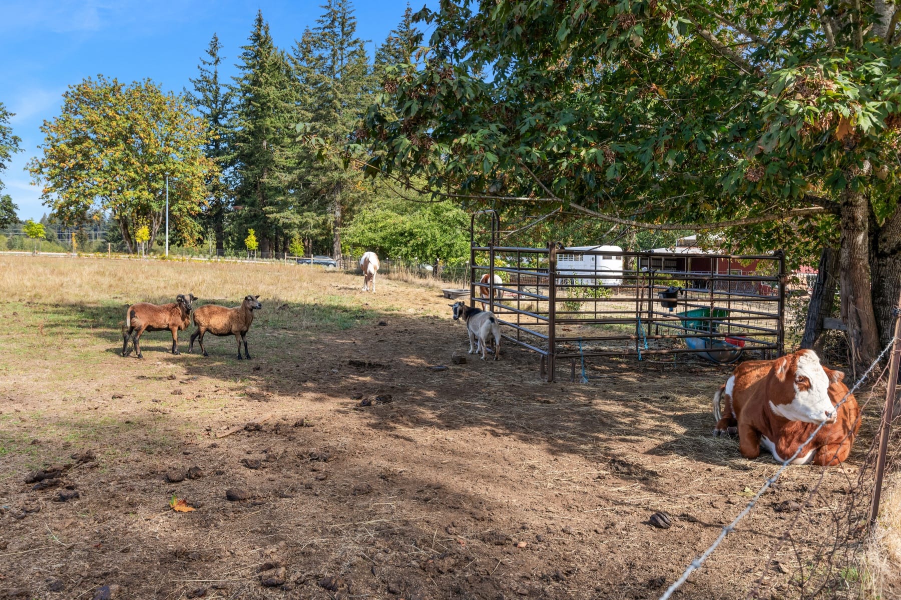  16370 Bell ST Sandy, OR 97055 - 物件實景